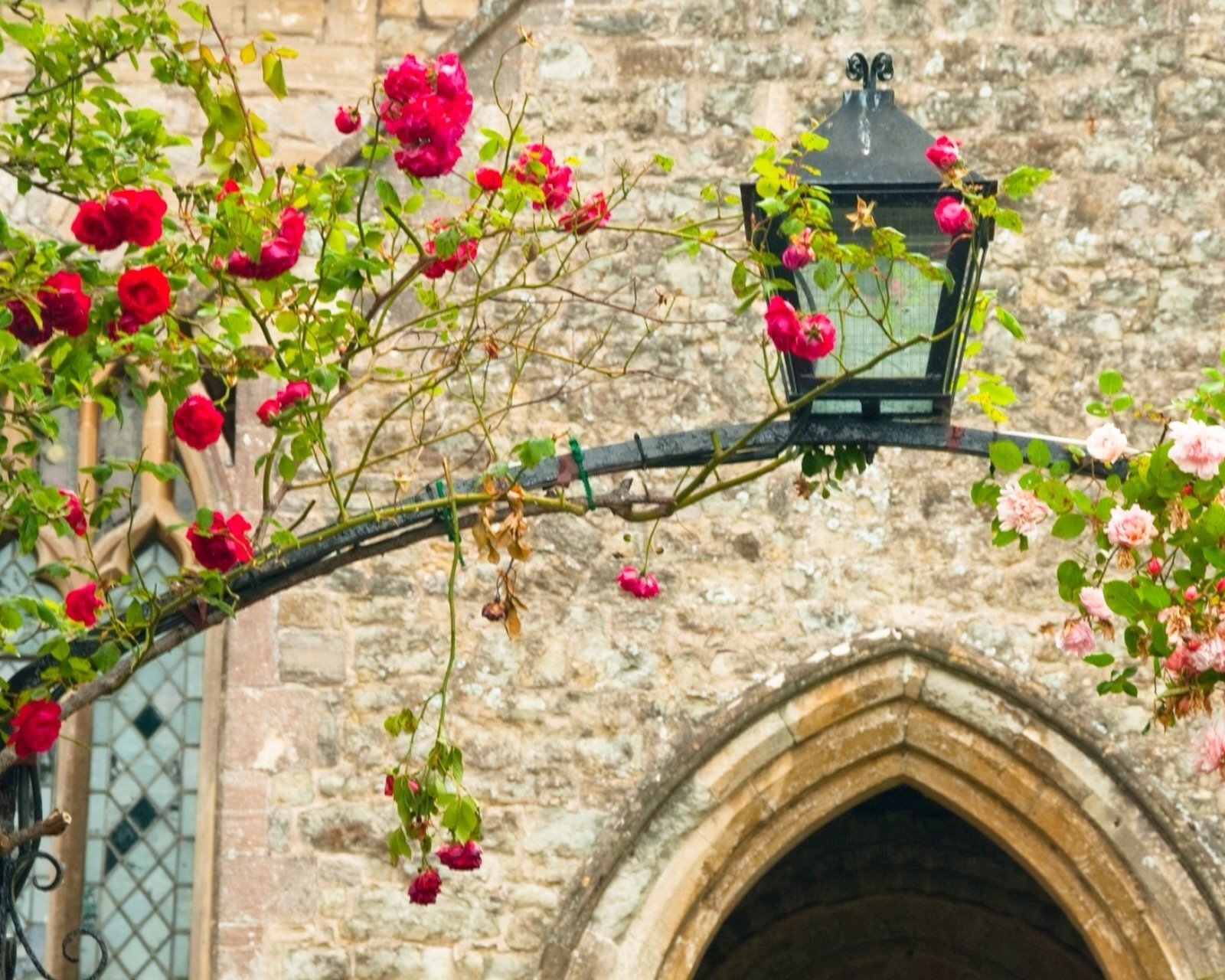 小清新,儿童桌面专用