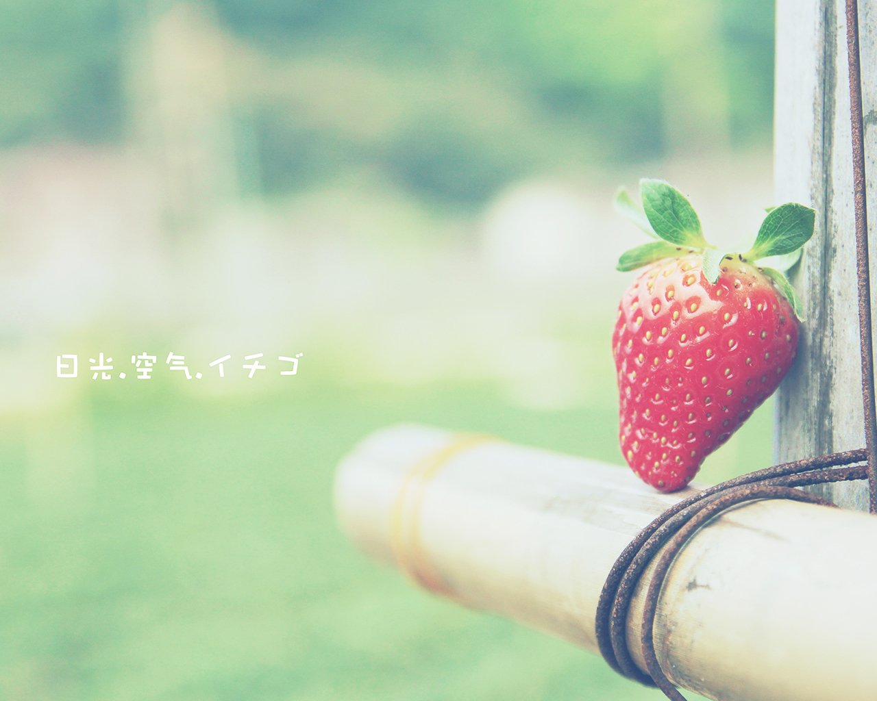 小清新,儿童桌面专用