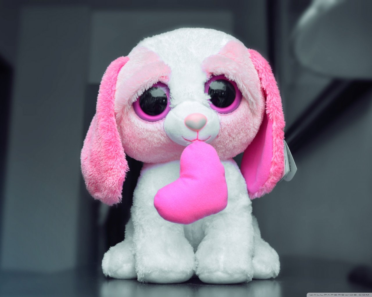 小清新,儿童桌面专用