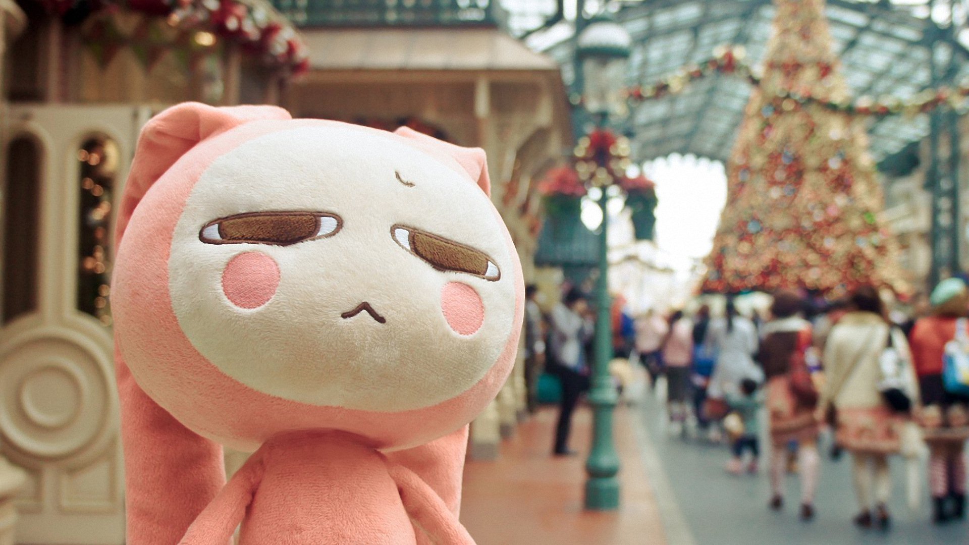 小清新,唯美,温暖,安静,阳光,温馨,儿童桌面专用