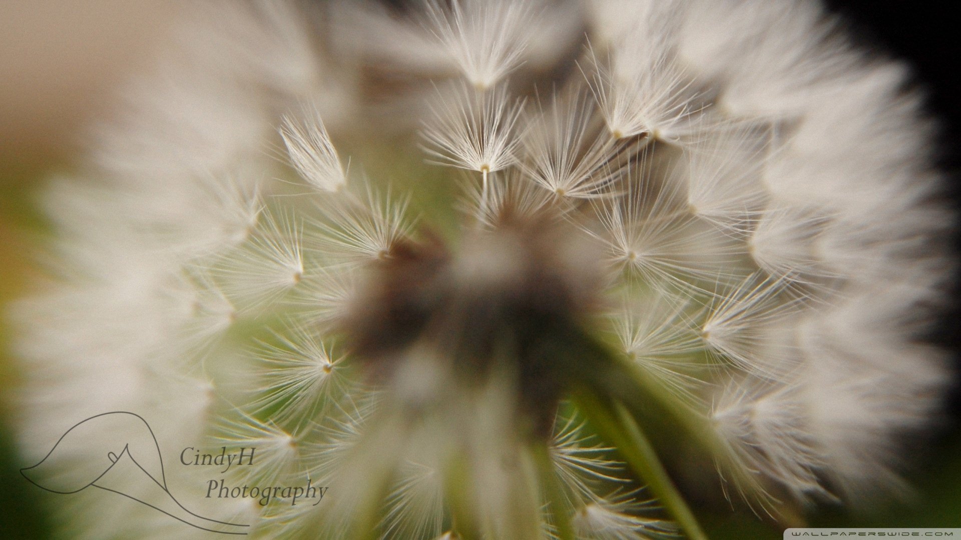 小清新,唯美,温暖,安静,阳光,温馨,儿童桌面专用