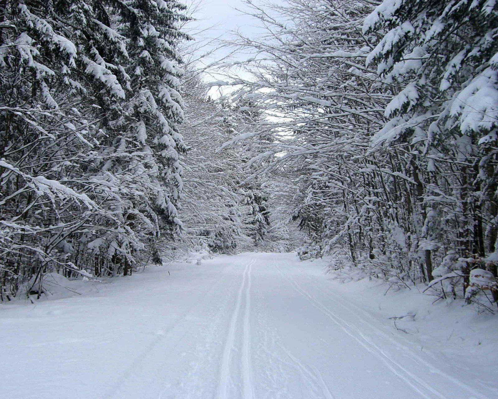 风景,儿童桌面专用