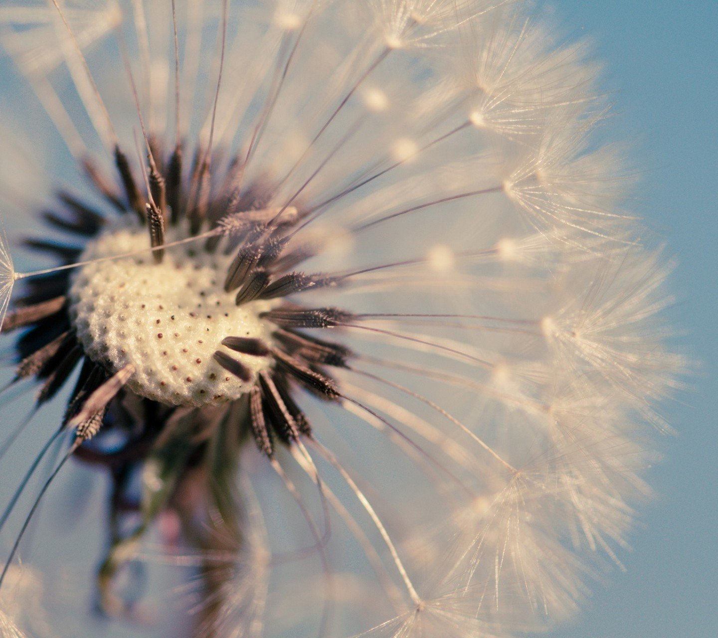 小清新,儿童桌面专用