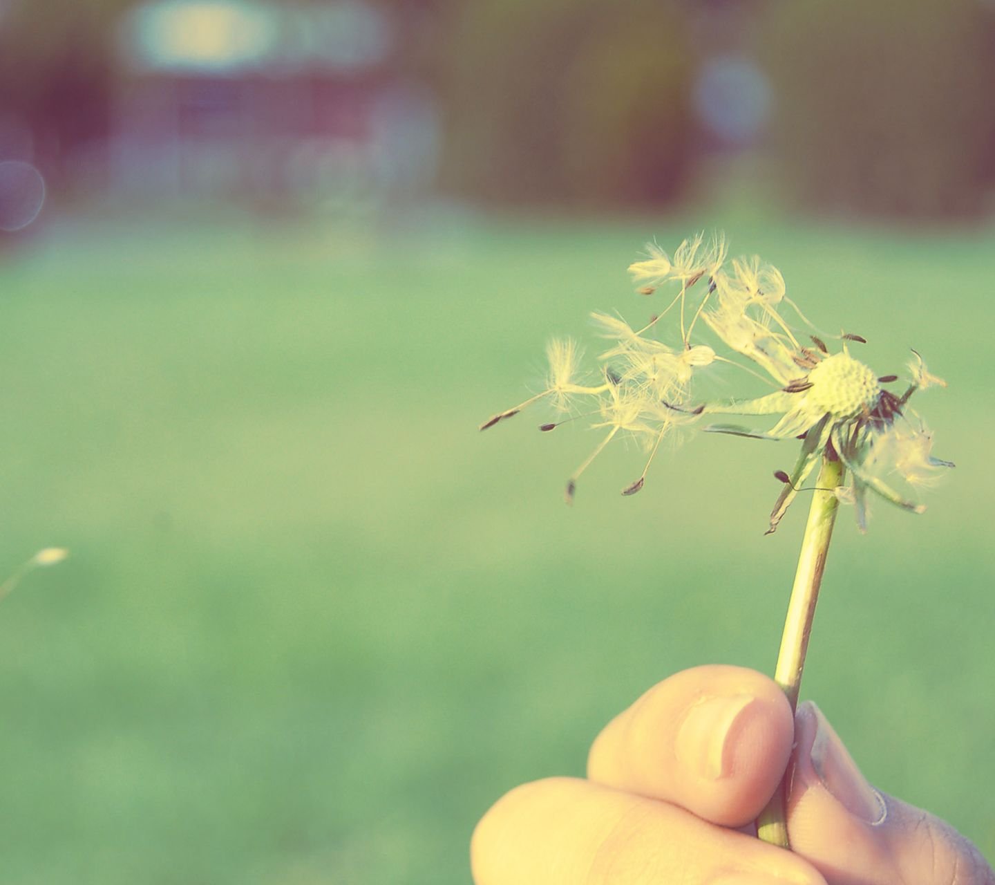 小清新,儿童桌面专用