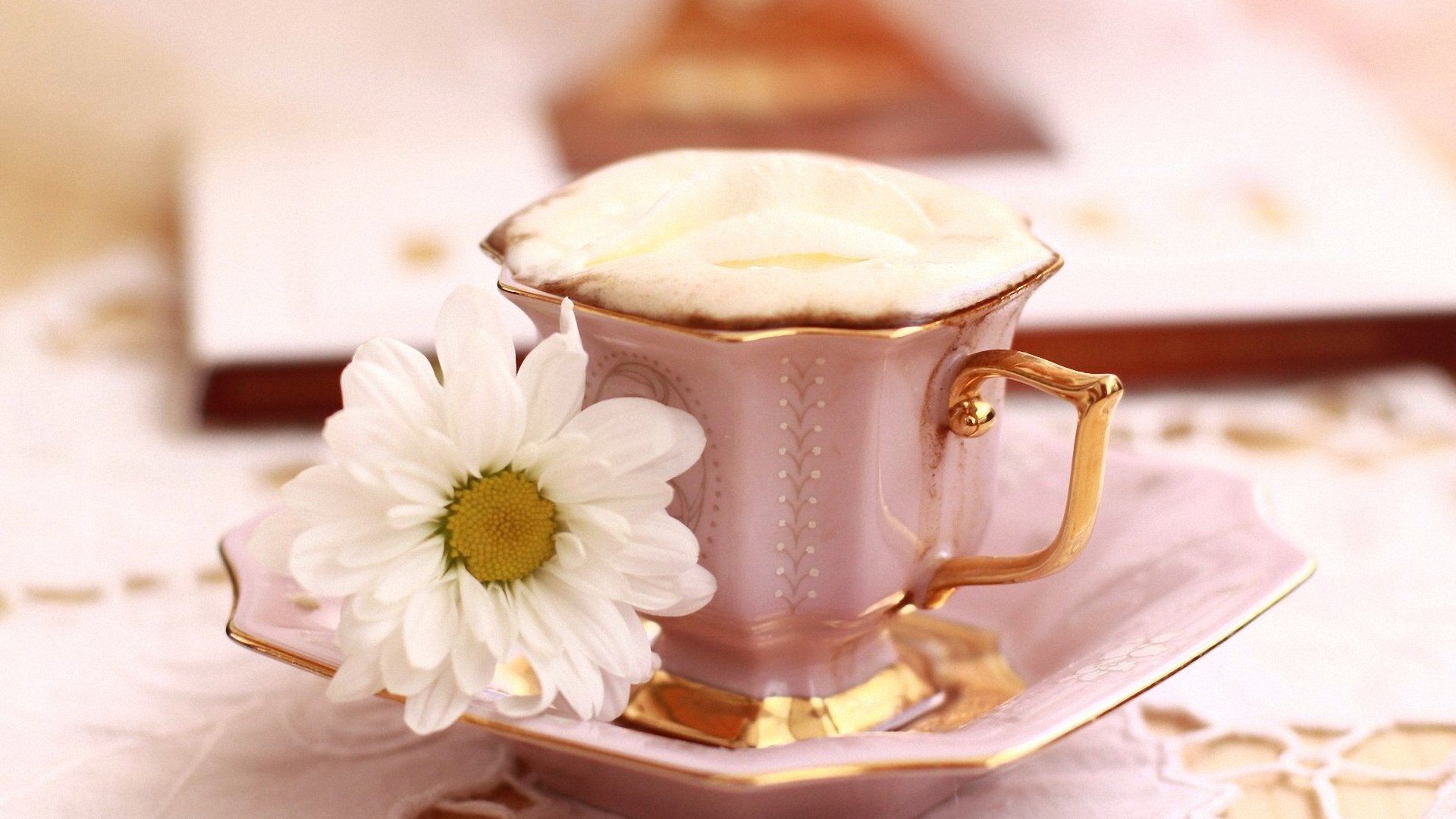 小清新,唯美,温暖,安静,阳光,温馨