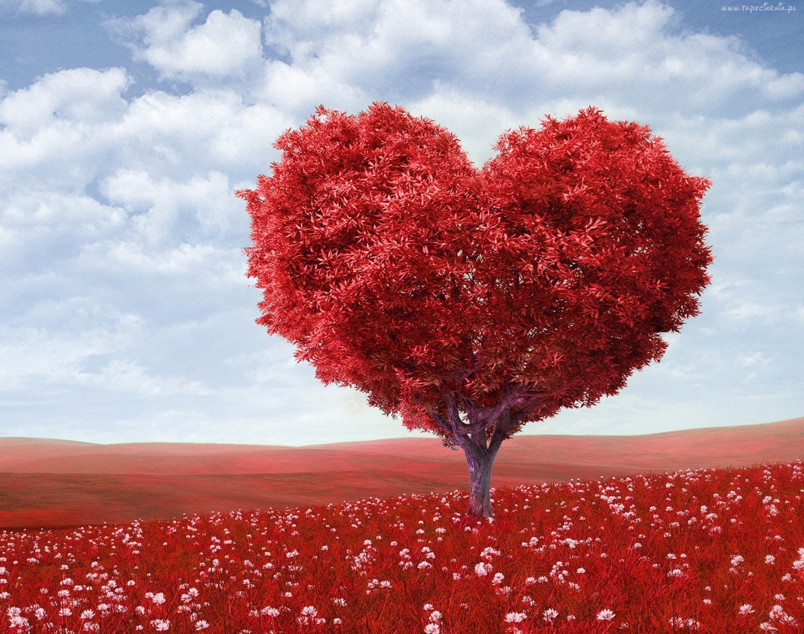 植树节,来生要做一棵树,风景,自然