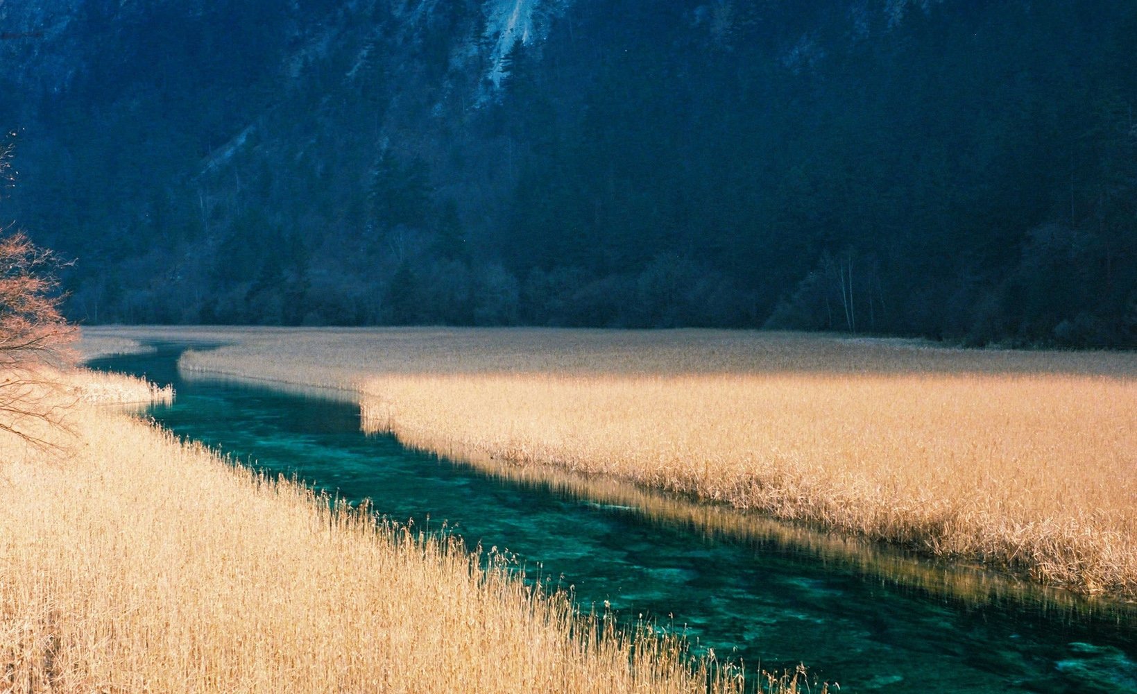 风景,自然风光,唯美,意境,在季节的转角处