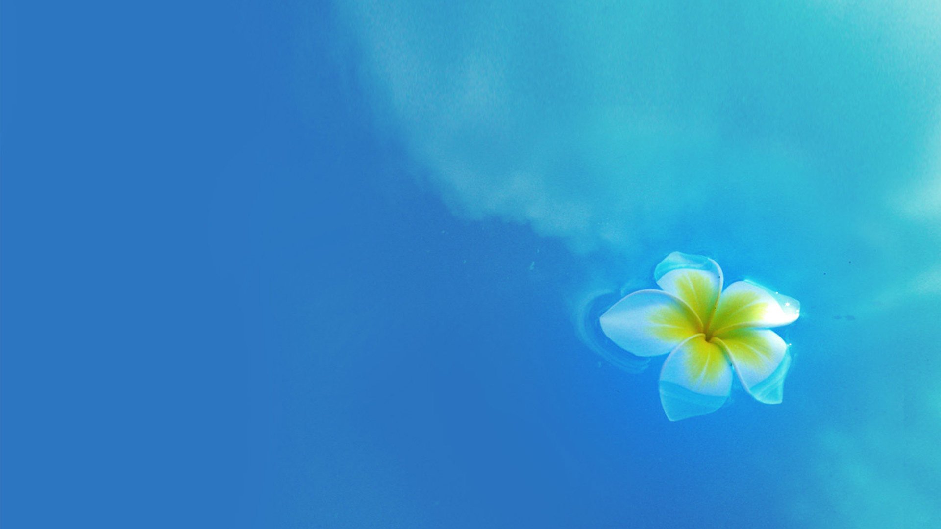 小清新,唯美,浪漫,温暖,温馨,干净,治愈系,慢生活,治愈,美好,风景,夏天,夏了夏天,蓝天白云,阳光,lomo,花,清澈,河水,蓝色