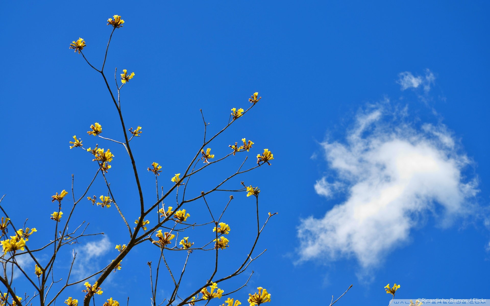 天空,唯美,蓝天白云,晴朗,清新,意境,温暖,安静,晴天,等风来