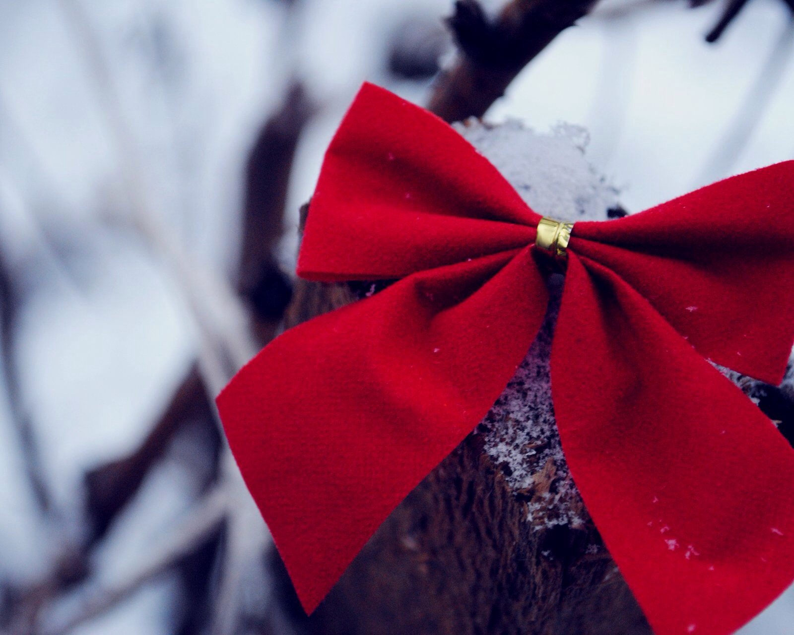 小清新,清新,唯美,物语,静物,治愈系,温暖,慢生活,蝴蝶结