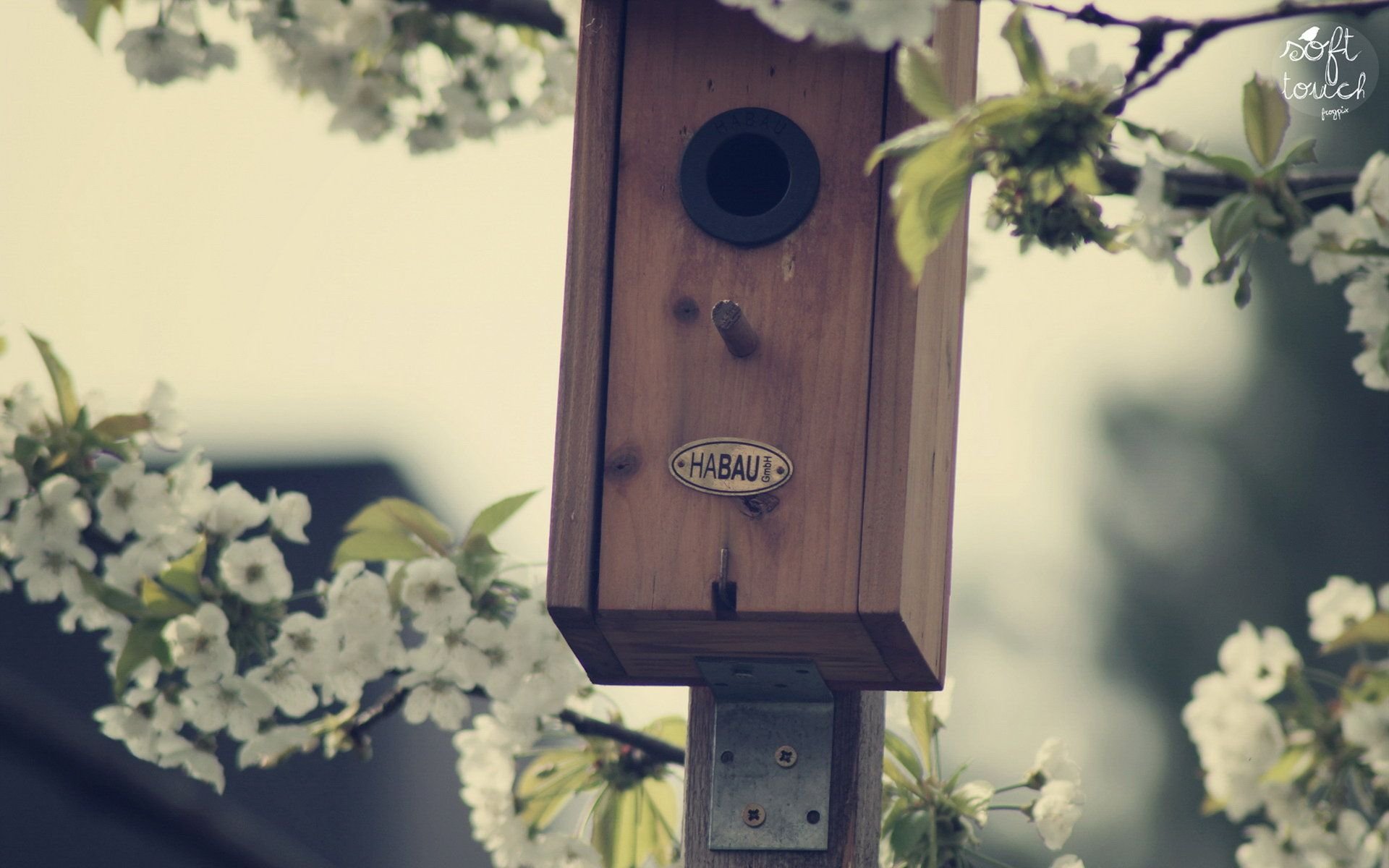 小清新,唯美,温馨,温暖,阳光,治愈系,安静,生活,慢生活,清新淡雅,温馨一刻,静物写真,物语