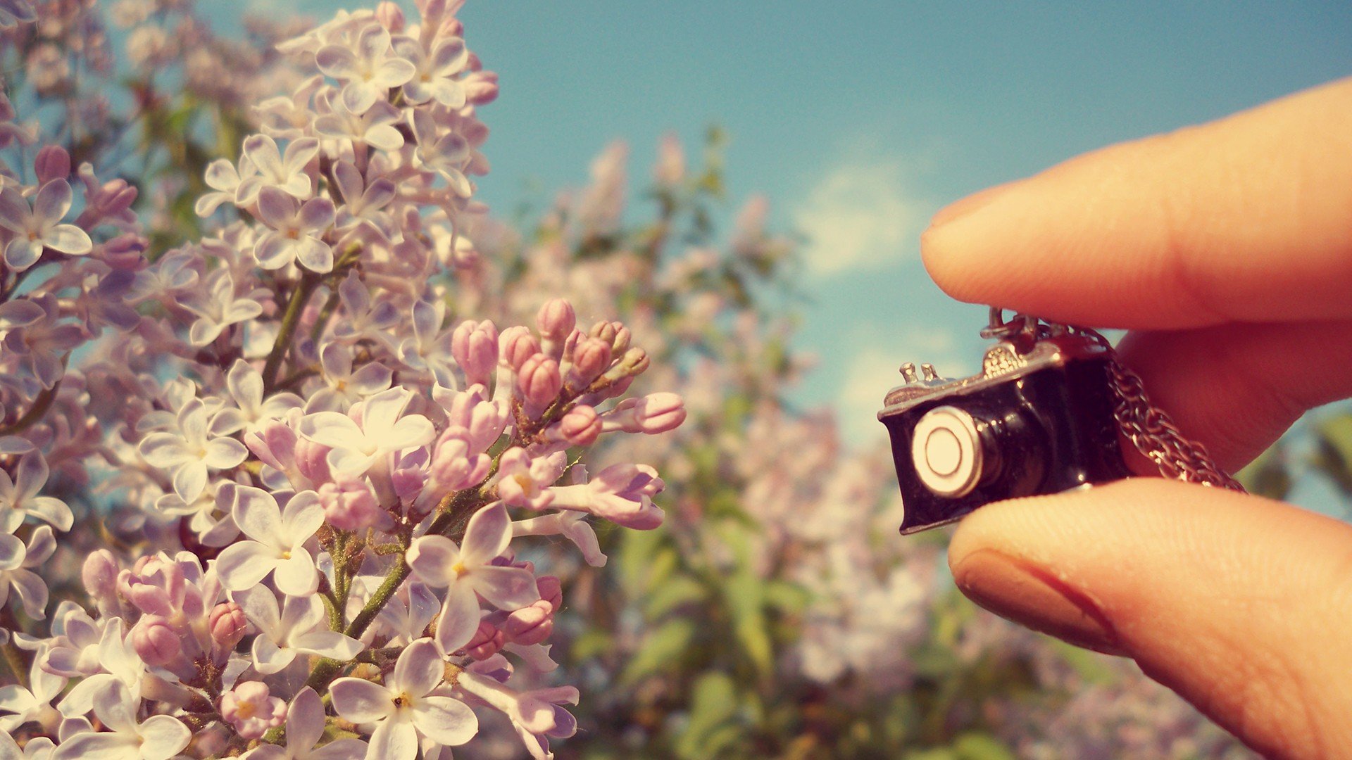 小清新,唯美,温馨,温暖,阳光,治愈系,安静,生活,慢生活,清新淡雅,温馨一刻,相机,复古,LOMO,怀旧