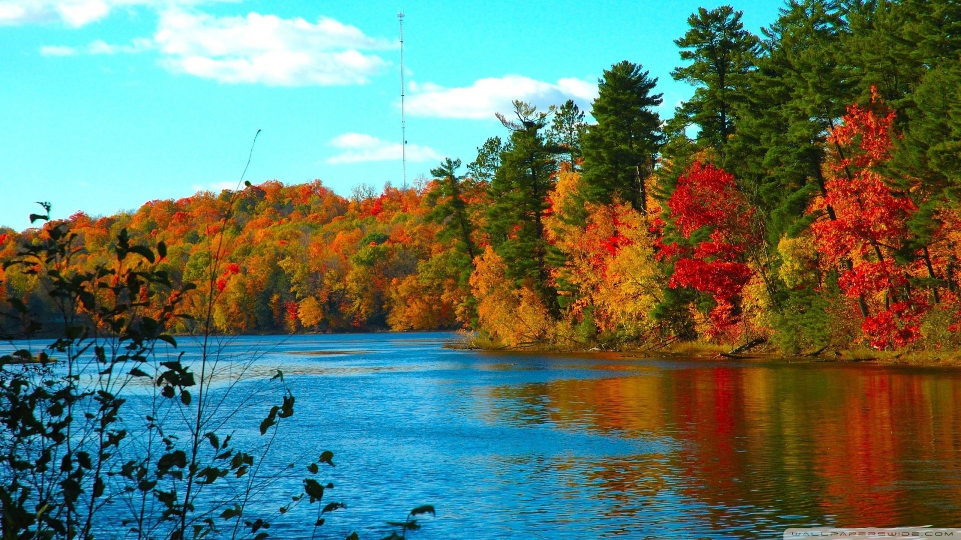 自然,风光,风景,河水,唯美