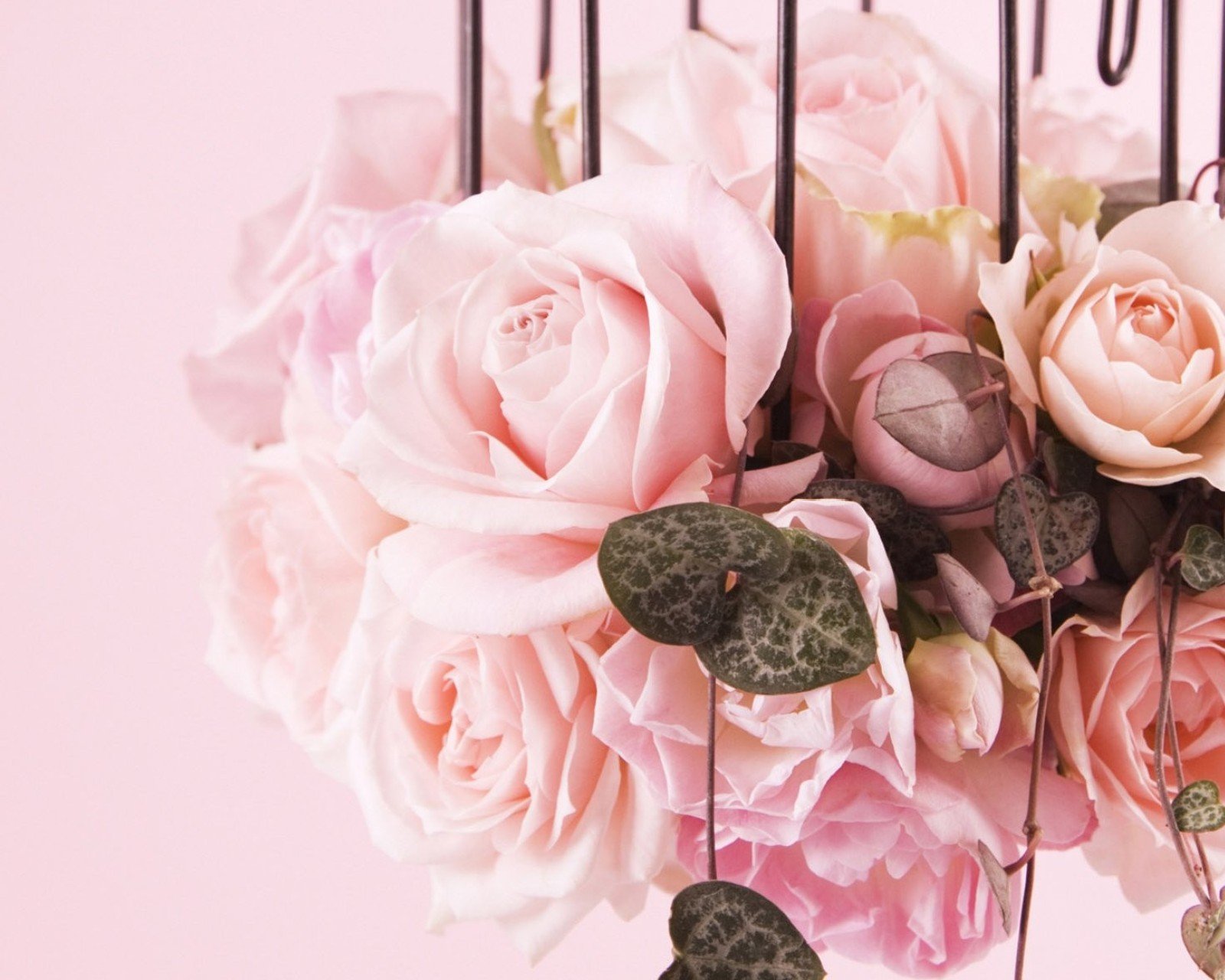 小清新,清新,唯美,物语,静物,治愈系,温暖,慢生活,花