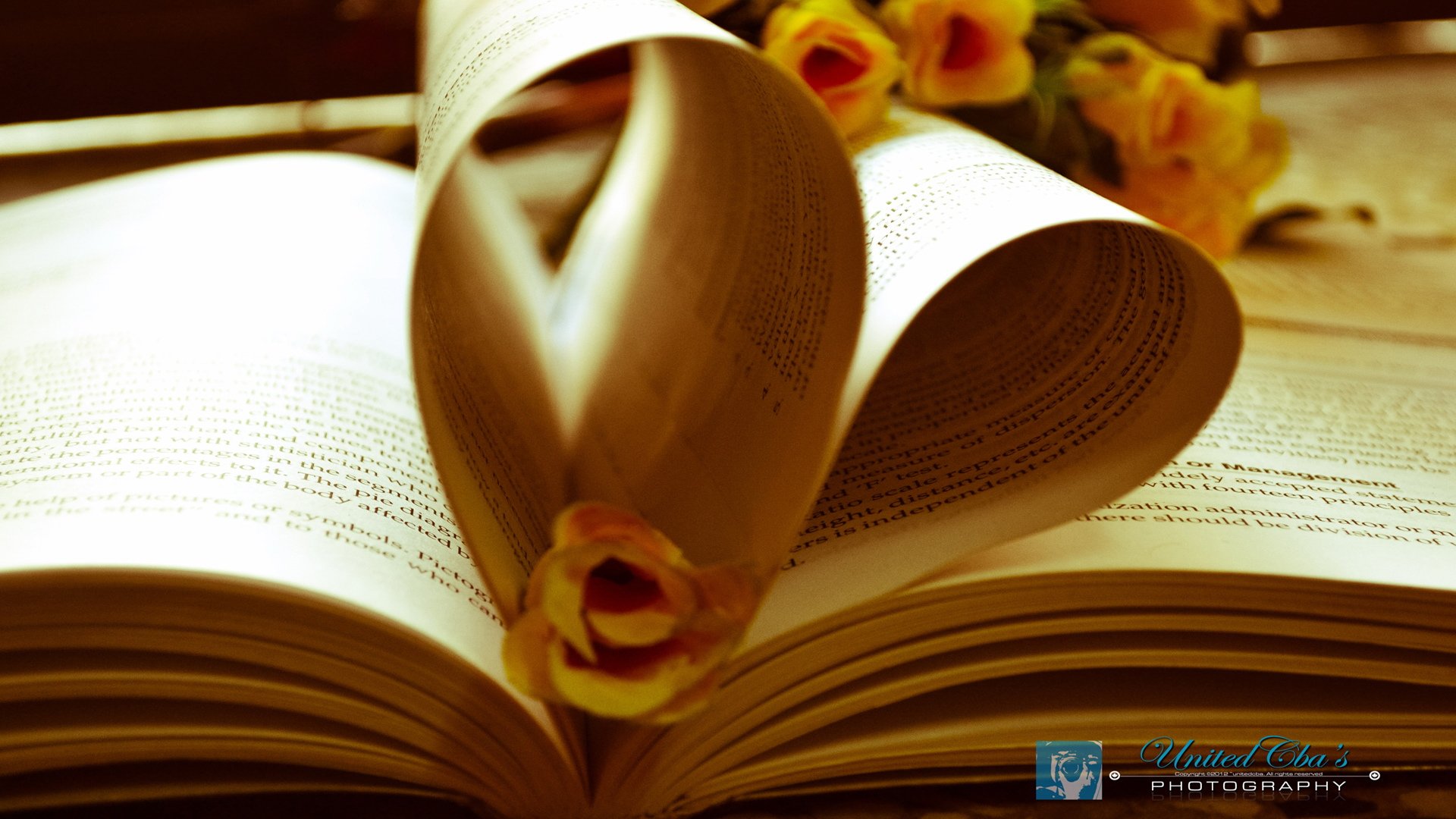 浪漫,爱情,情感,爱,love,唯美,清新,心,静物,物语,心动创意,书