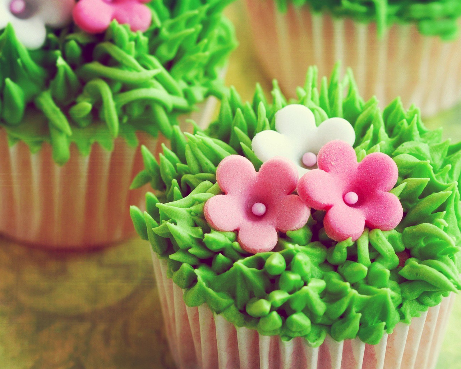 小清新,清新,唯美,物语,静物,治愈系,温暖,慢生活,花