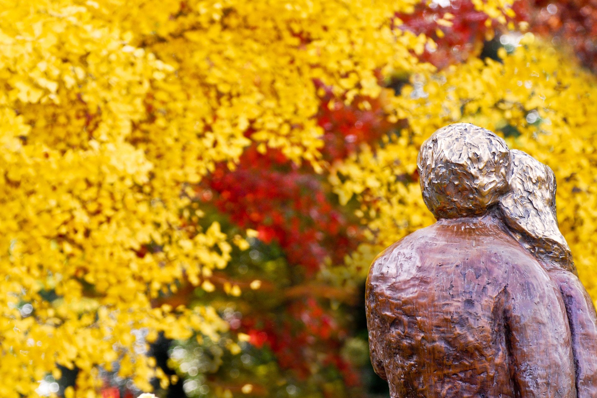 小清新,唯美,温馨,温暖,阳光,绿色养眼,自然,清新淡雅,花,春天,花团锦簇