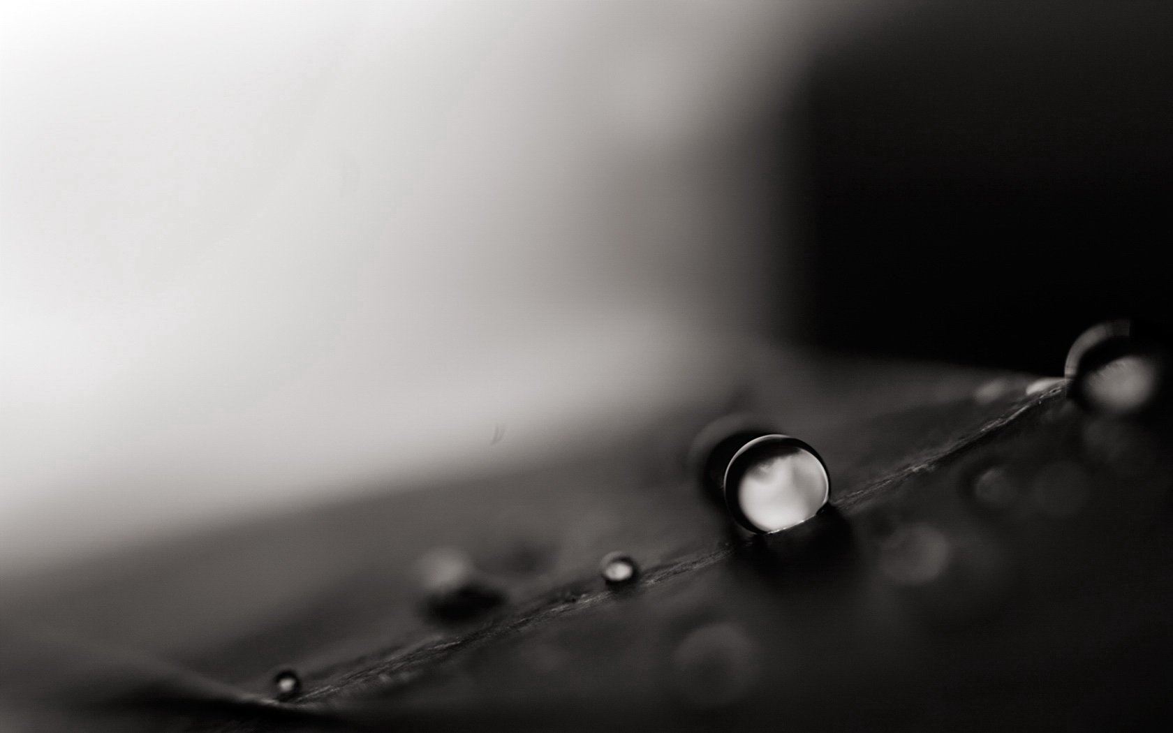 小清新,清新,唯美,物语,静物,治愈系,温暖,慢生活,水珠