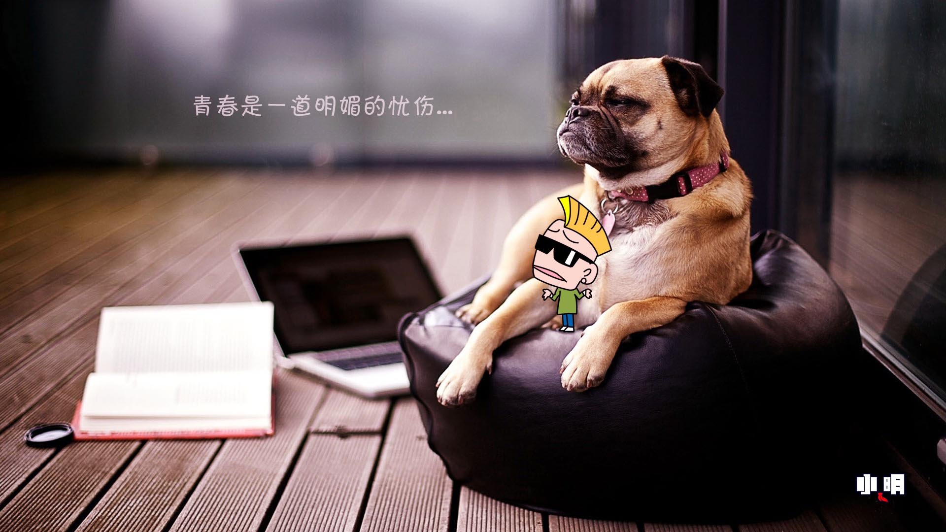 小明壁纸,文字,搞笑,恶搞