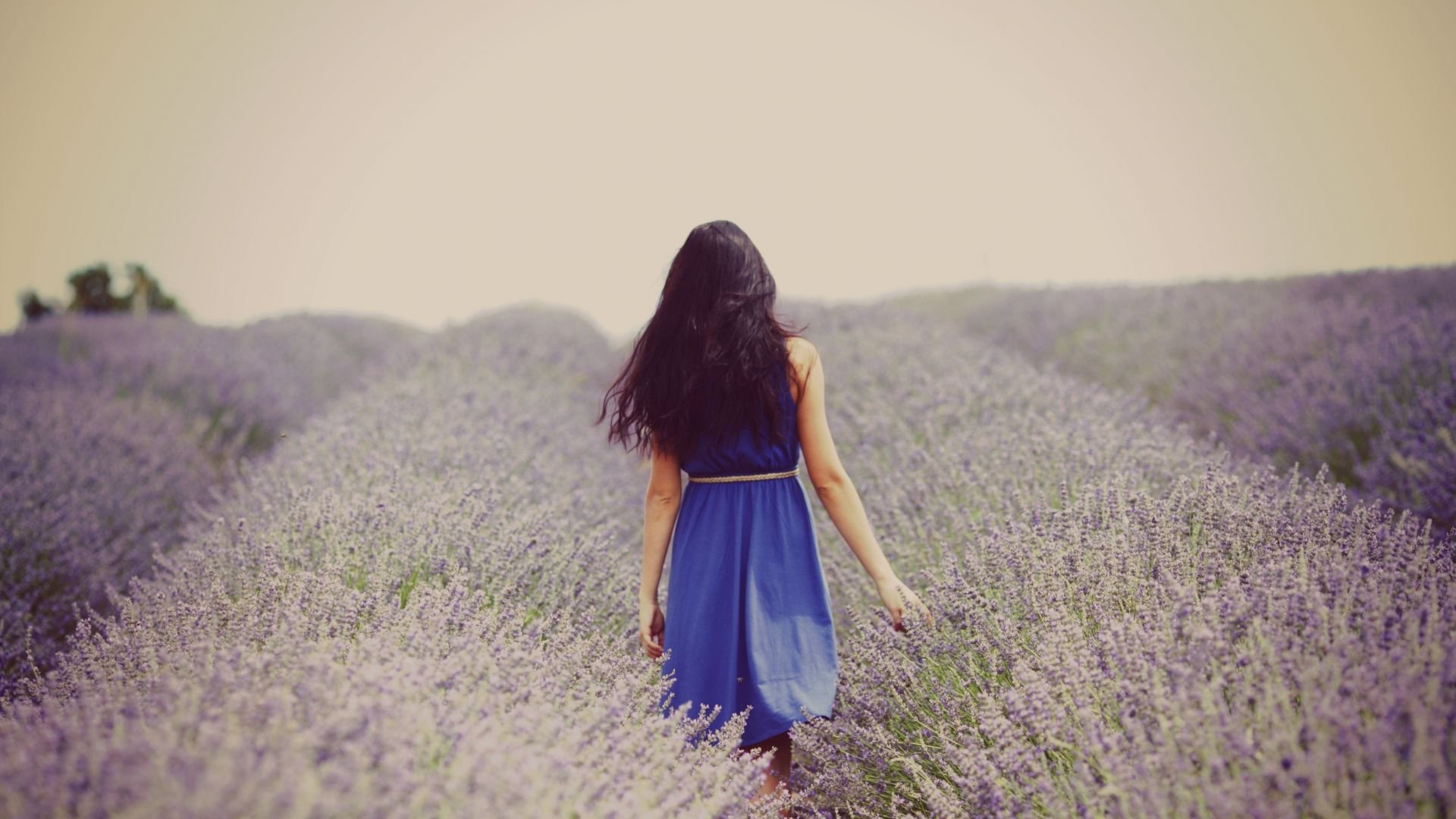 小清新,唯美,温馨,温暖,阳光,治愈系,安静,生活,慢生活,清新淡雅,温馨一刻,孤单,寂寞,离开,等待,伤感,一个人