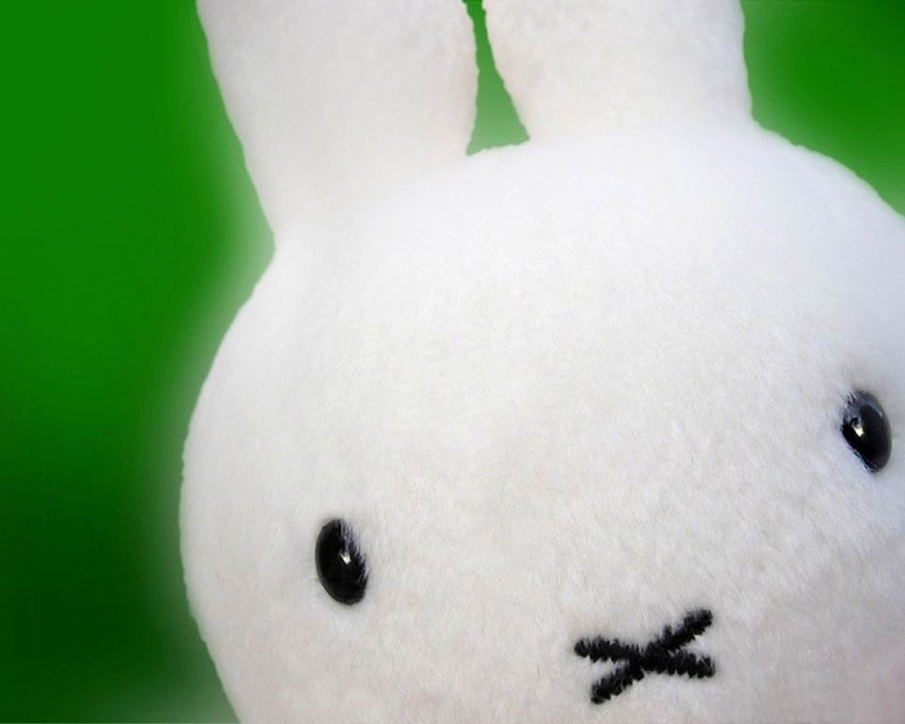 小清新,唯美,浪漫,温暖,温馨,干净,静物,物语,兔子