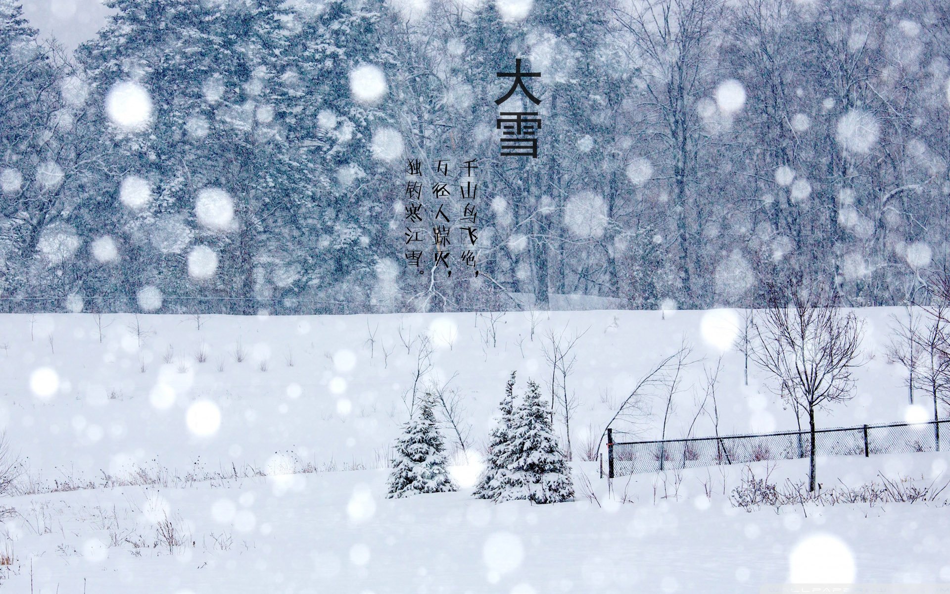 二十四节气,24节气,节气,风景,自然,风光,节日,大雪
