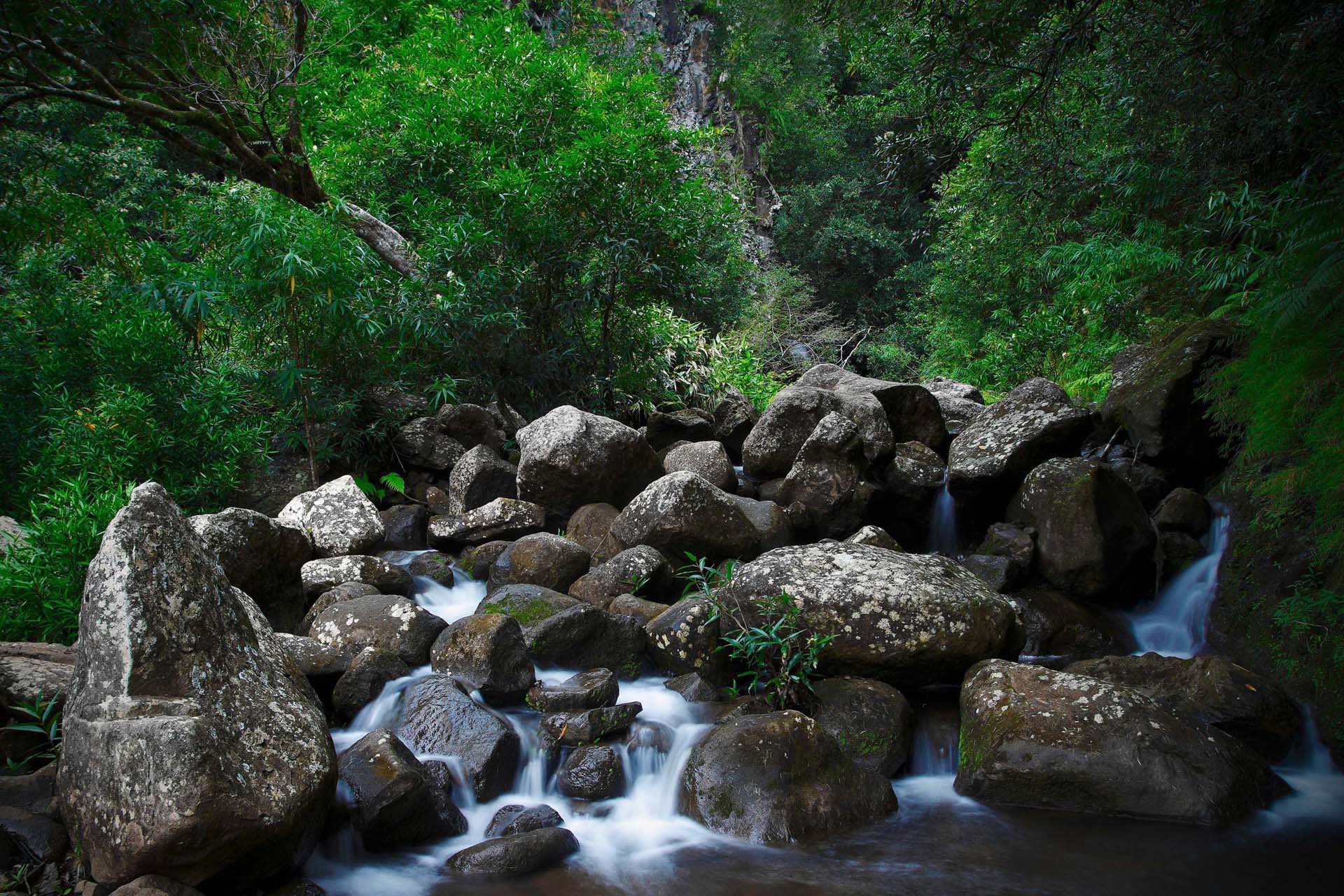 自然,风光,风景,绿色养眼