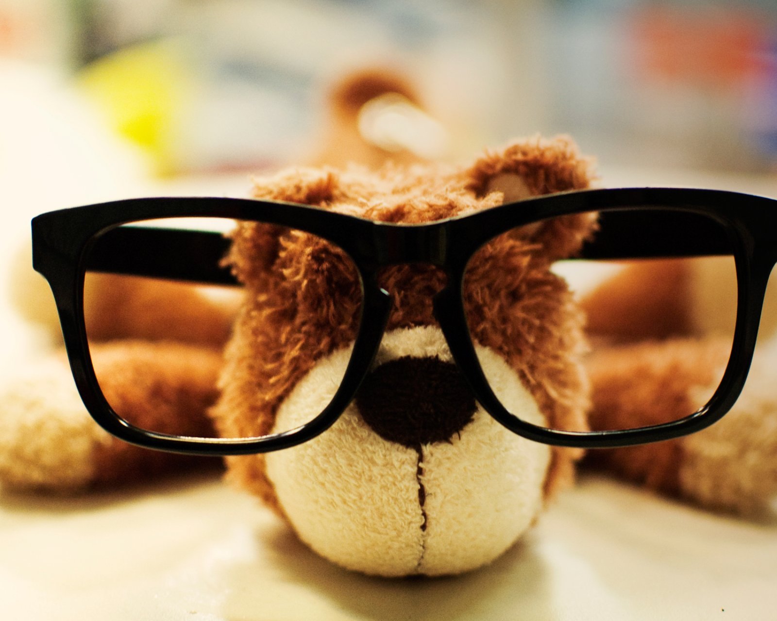 小清新,清新,唯美,物语,静物,治愈系,温暖,慢生活,眼镜熊