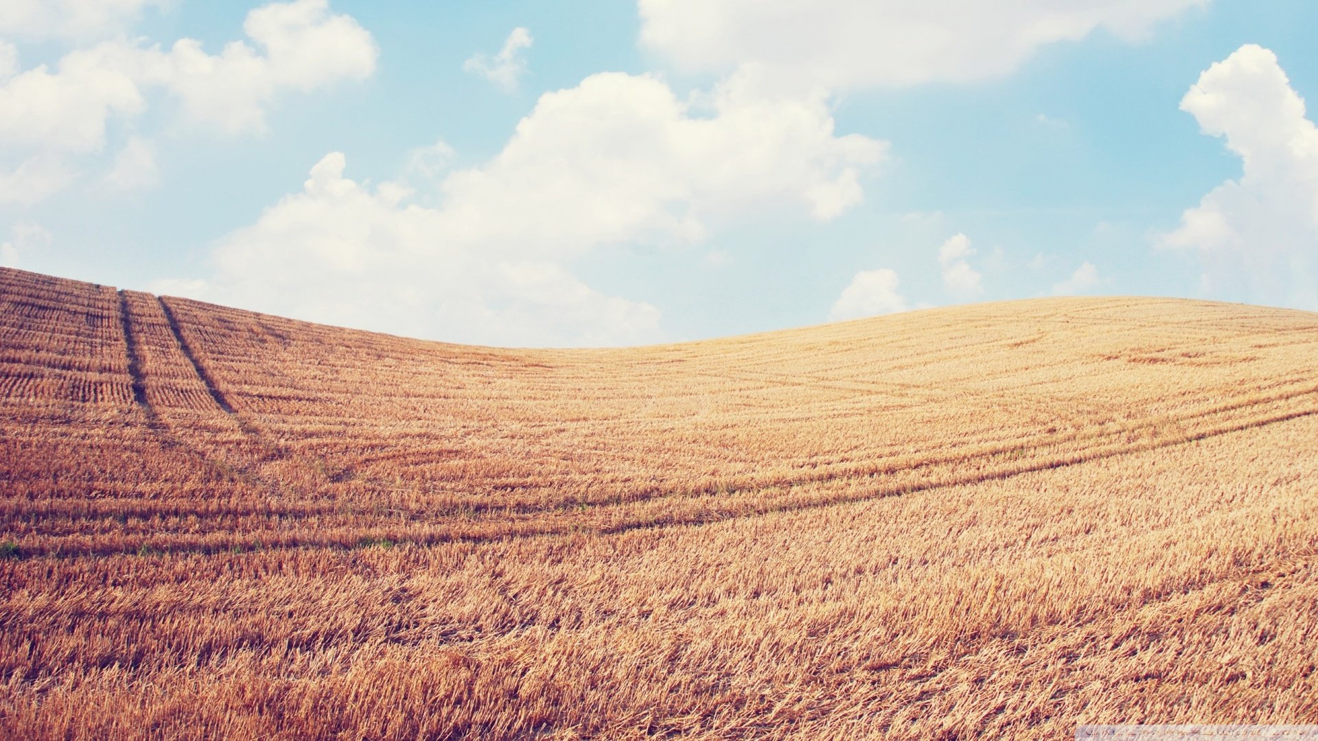 风景,自然,风光,秋天,丰收