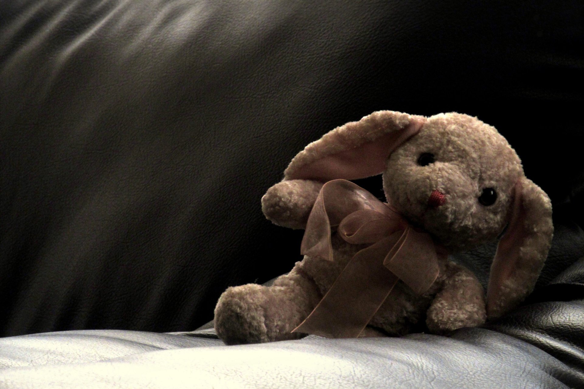 小清新,唯美,温馨,温暖,阳光,治愈系,安静,生活,慢生活,清新淡雅,温馨一刻,静物写真,物语,兔子,孤单,寂寞,等待,一个人