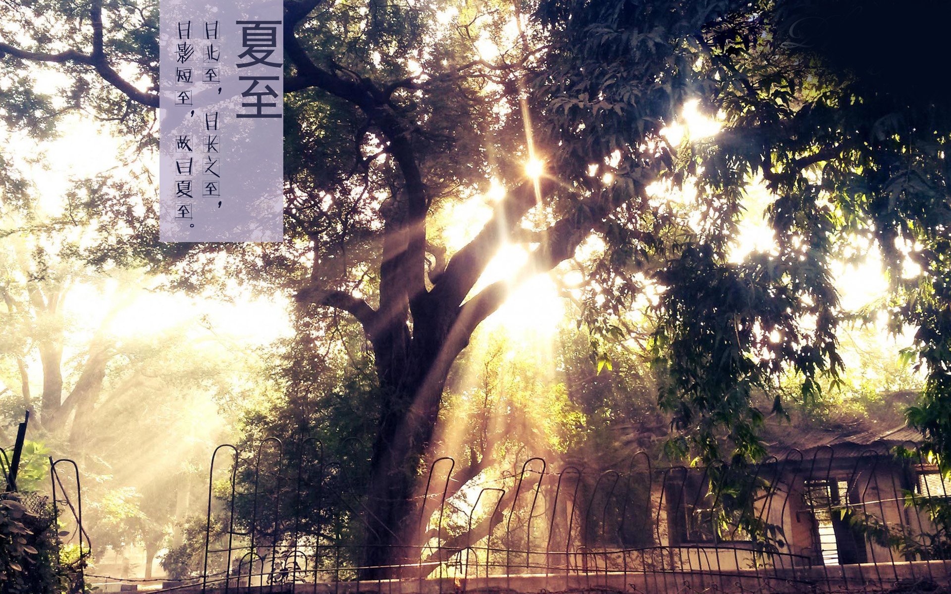 二十四节气,24节气,节气,风景,自然,风光,节日,夏至