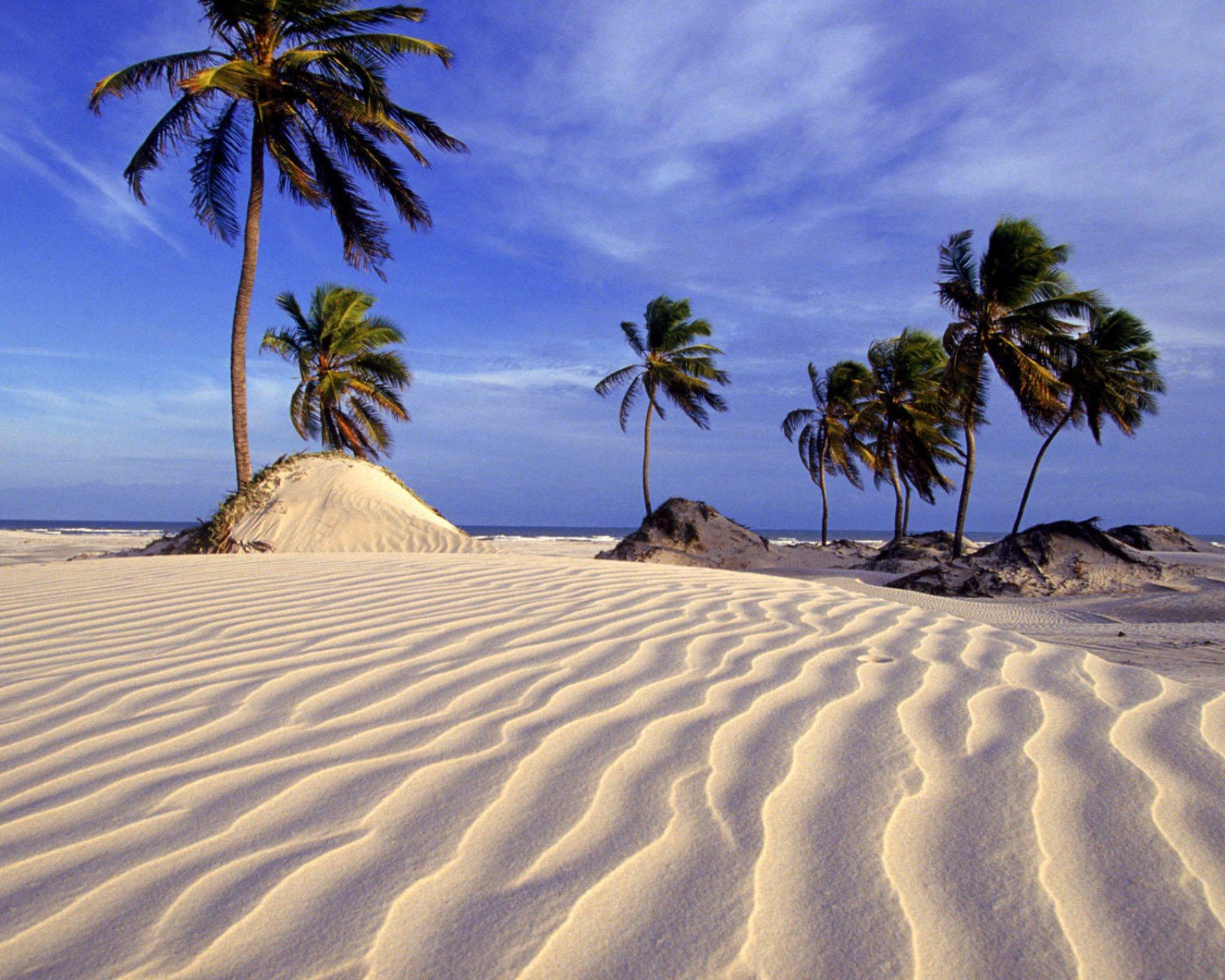 风景,自然风光,唯美,意境,在季节的转角处