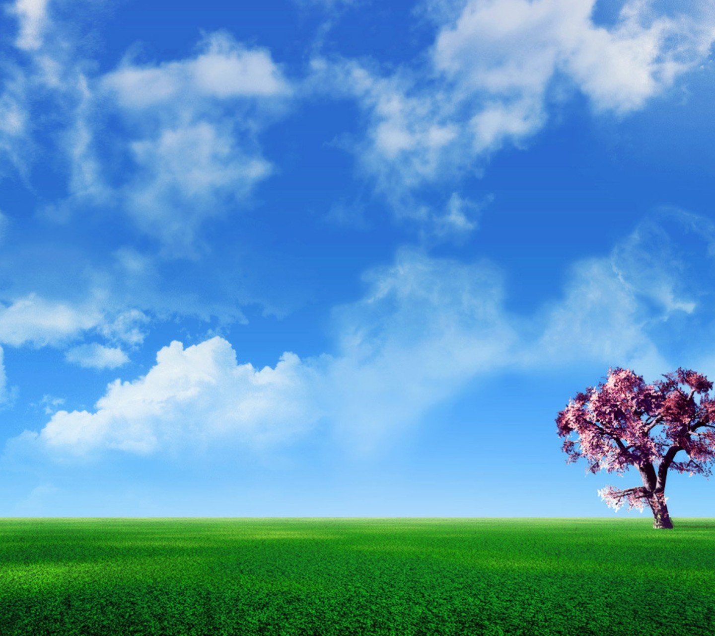 自然,风景,树,唯美,意境,孤单,来生要做一棵树