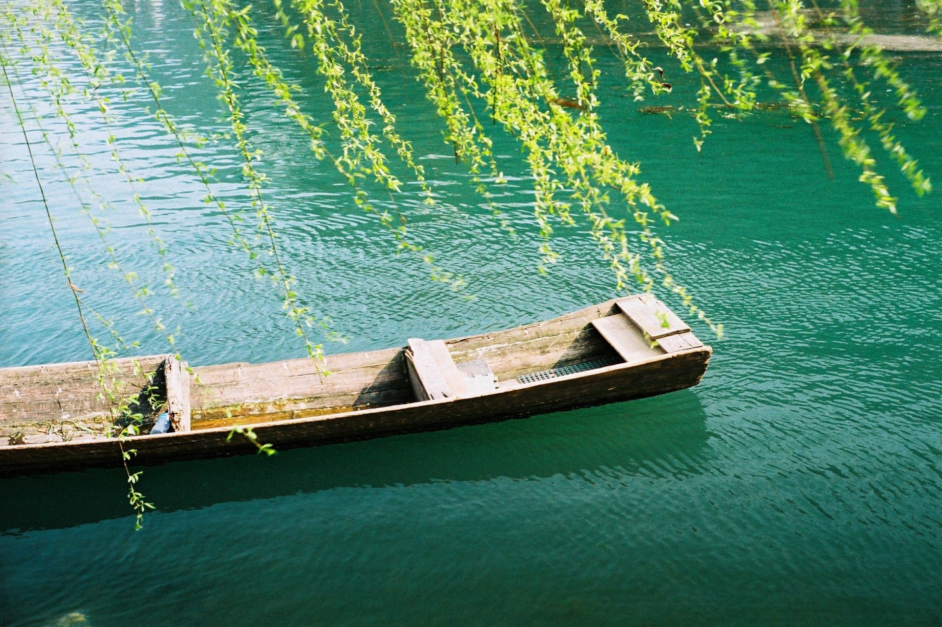 自然,风光,风景,春意盎然,春天,唯美,春风,河边,柳树,意境,清新,绿色养眼,哮喘