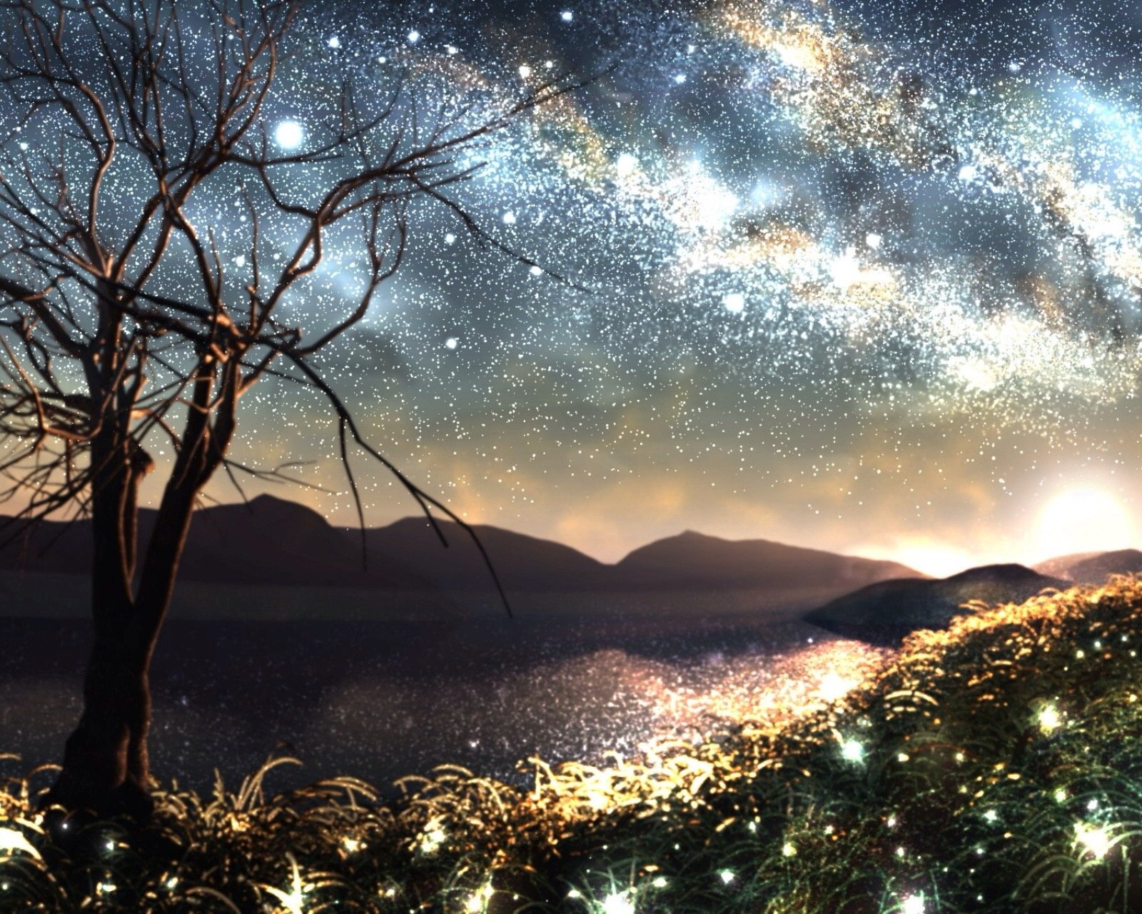 风景,自然,风光,夜晚