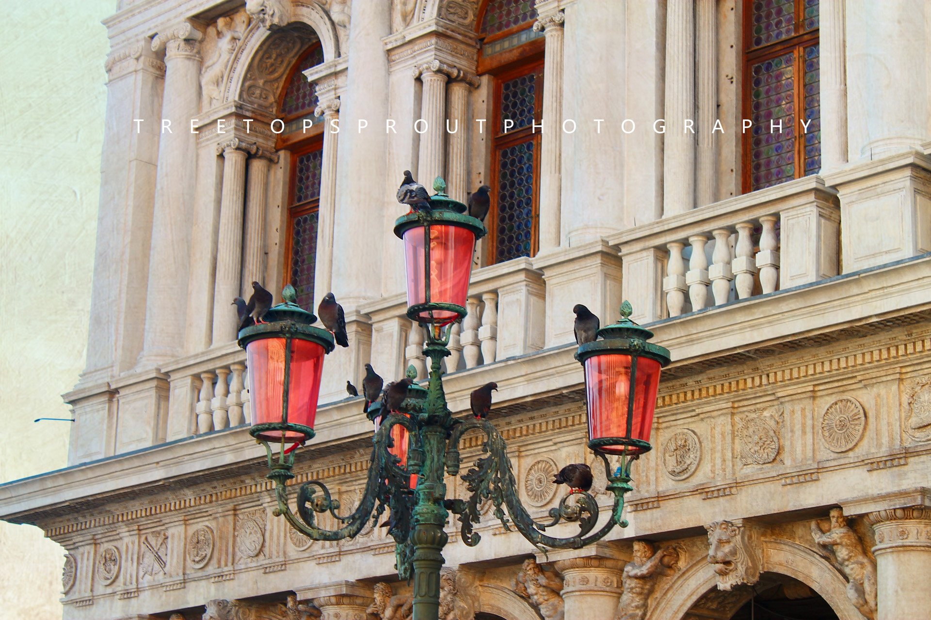 威尼斯,旅游胜地,自然,风光,城市,水城,河水,船