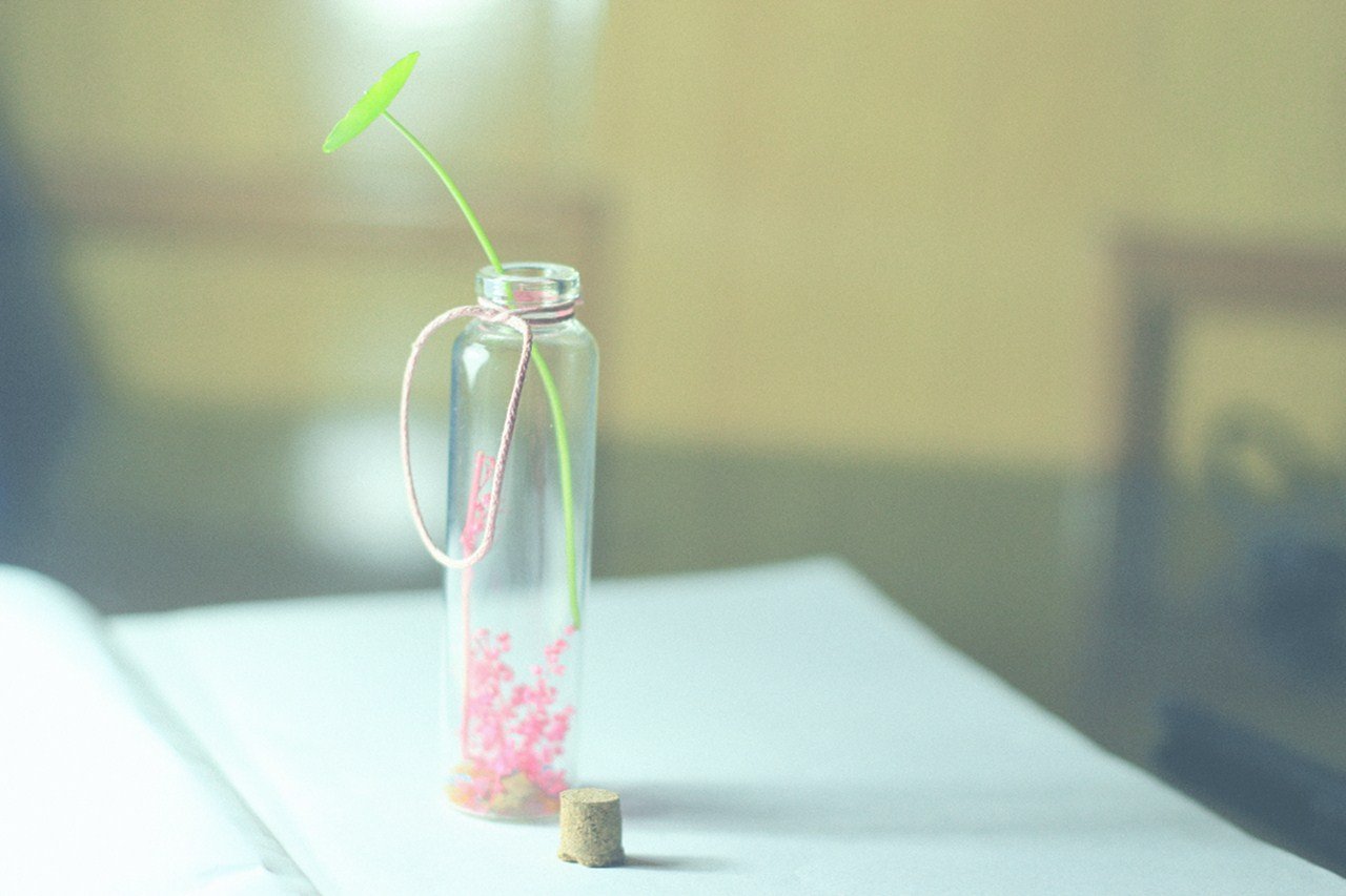 小清新,清新,唯美,物语,静物,治愈系,温暖,慢生活,瓶子,许愿瓶