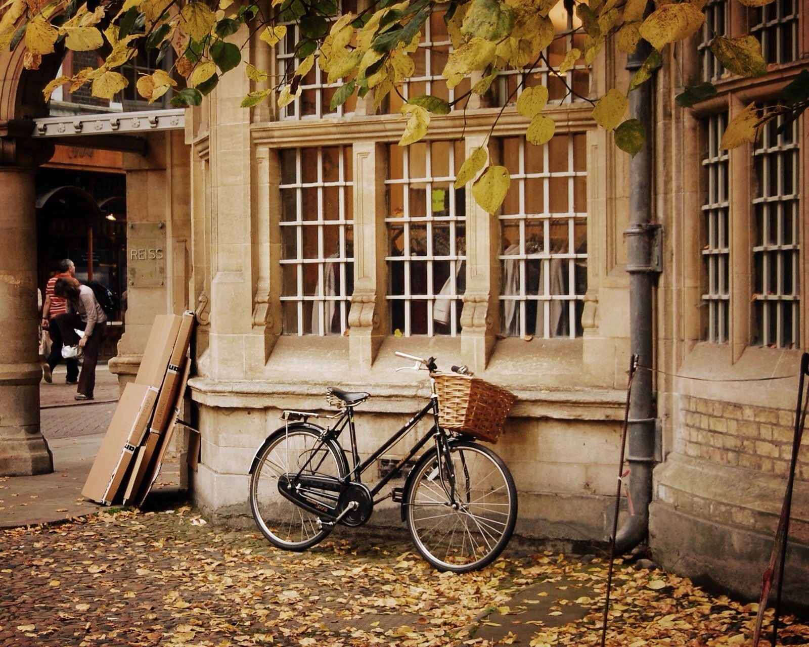 情感,温馨,文字控,心事,治愈,自行车,田园