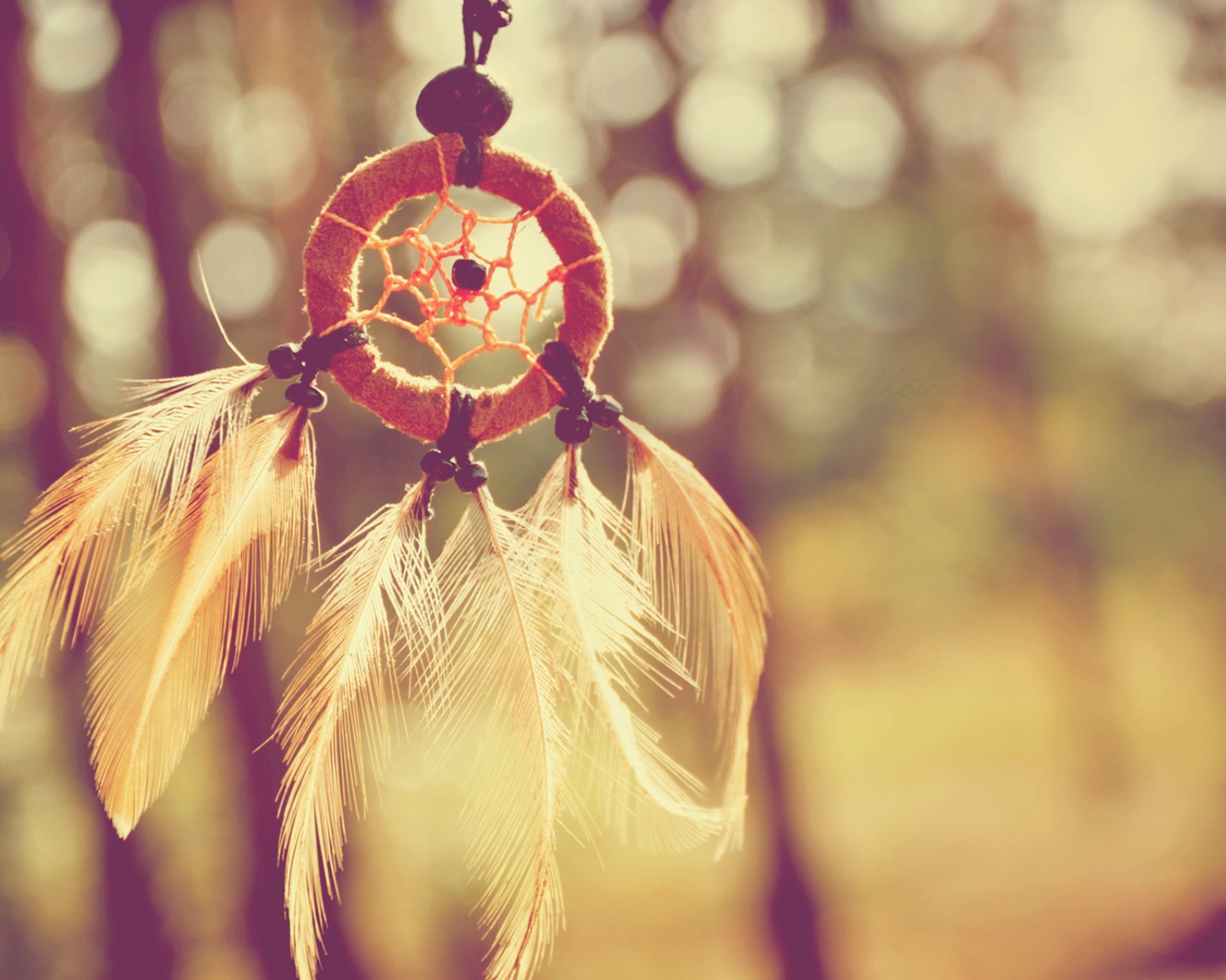 小清新,清新,唯美,物语,静物,治愈系,温暖,慢生活,捕梦网