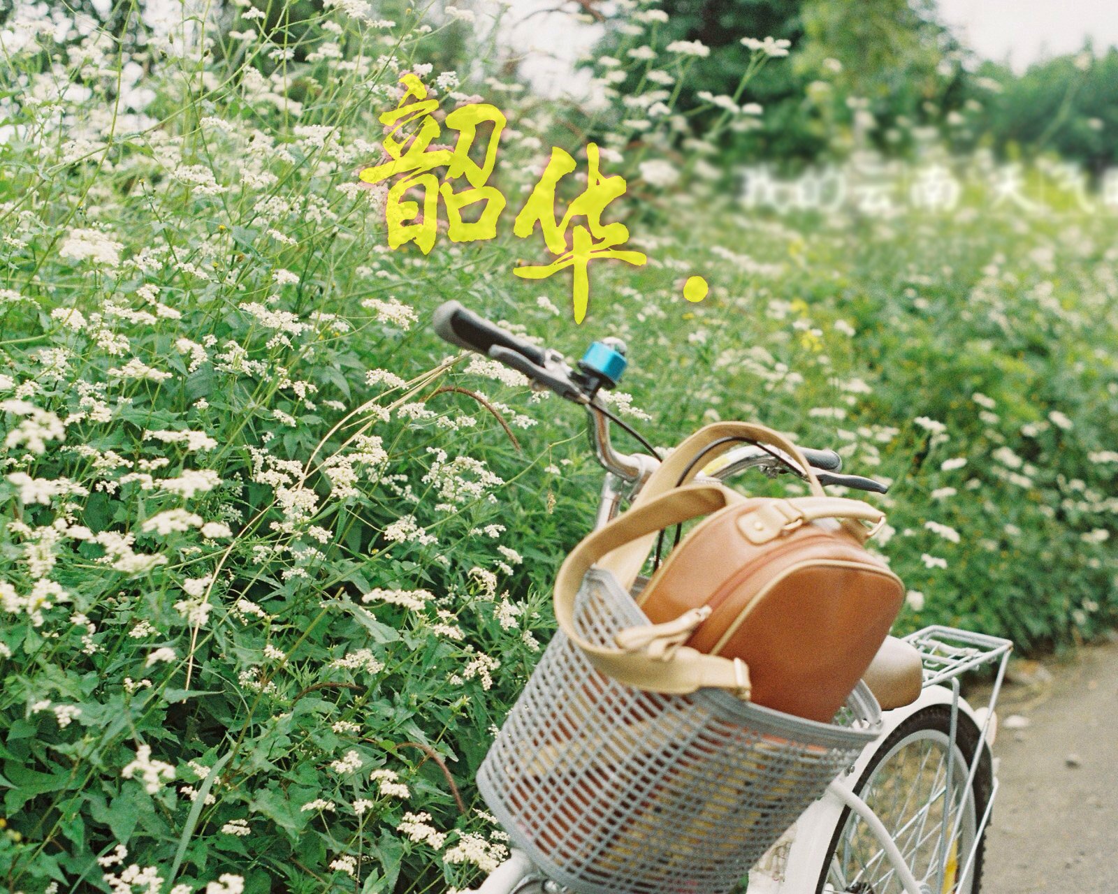 情感,温馨,文字控,心事,治愈,自行车,田园