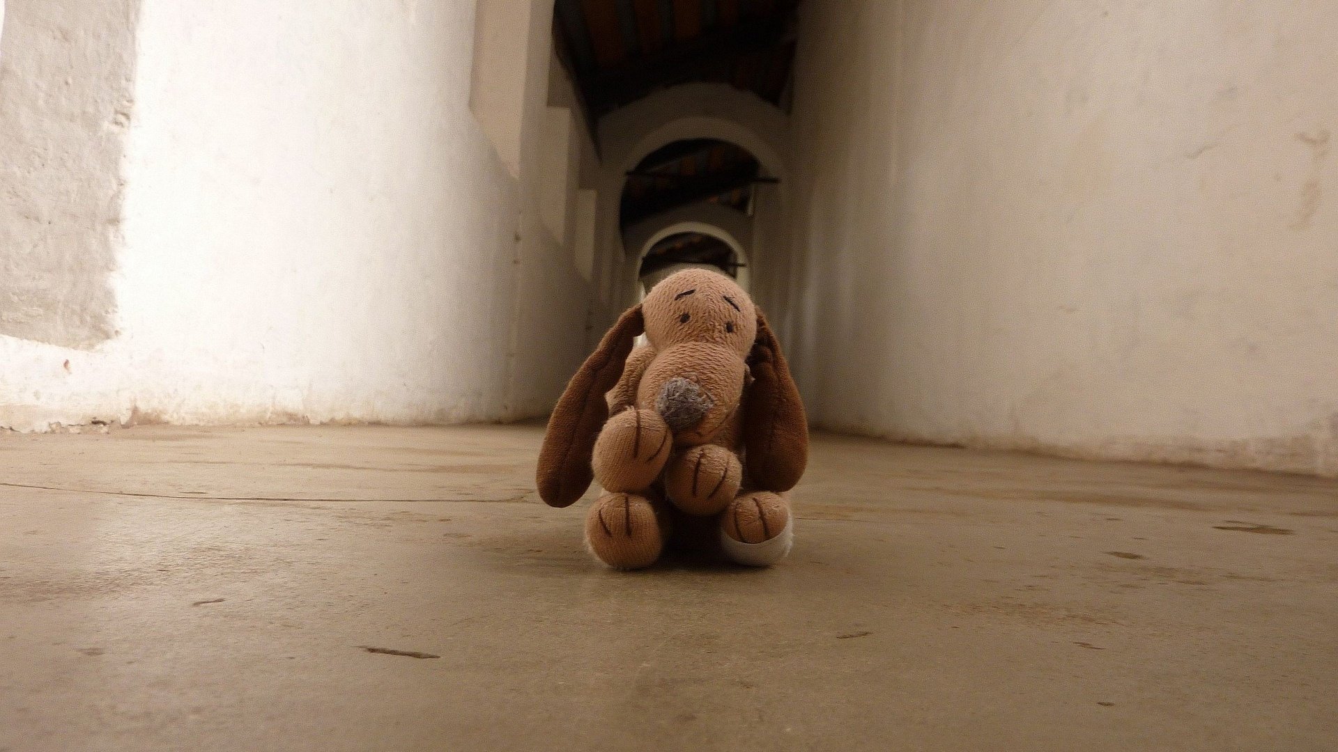 小清新,唯美,浪漫,温暖,温馨,干净,静物,物语,毛绒玩具,狗