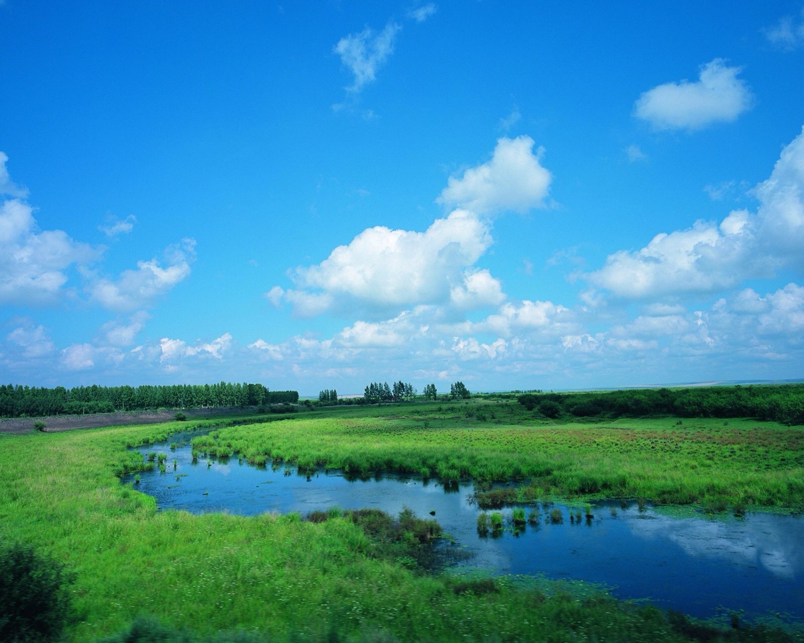 风景,自然,风光,河水,唯美,草原,绿色,蓝天,白云,心旷神怡