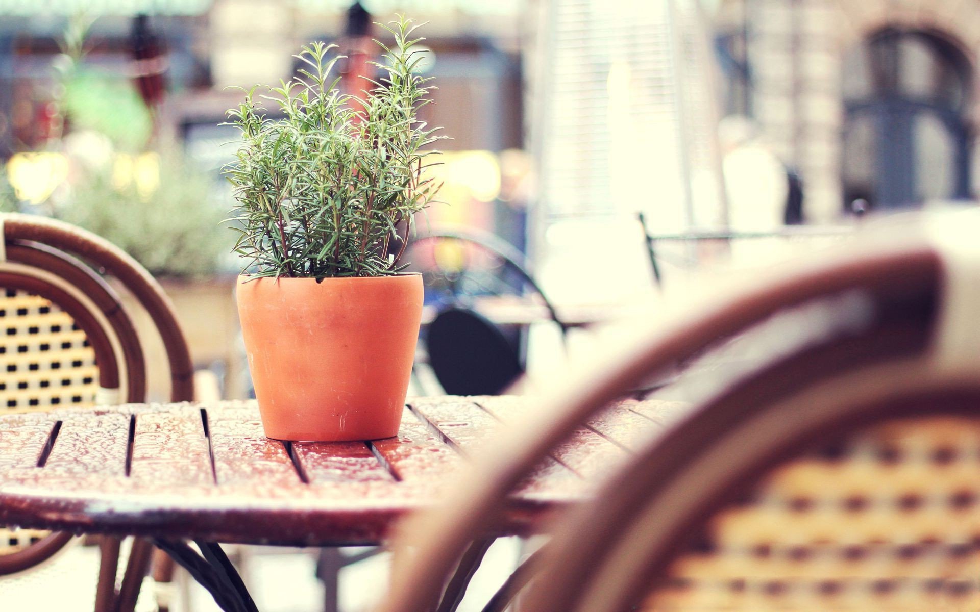 小清新,唯美,温馨,温暖,阳光,治愈系,安静,生活,慢生活,清新淡雅,温馨一刻,静物写真