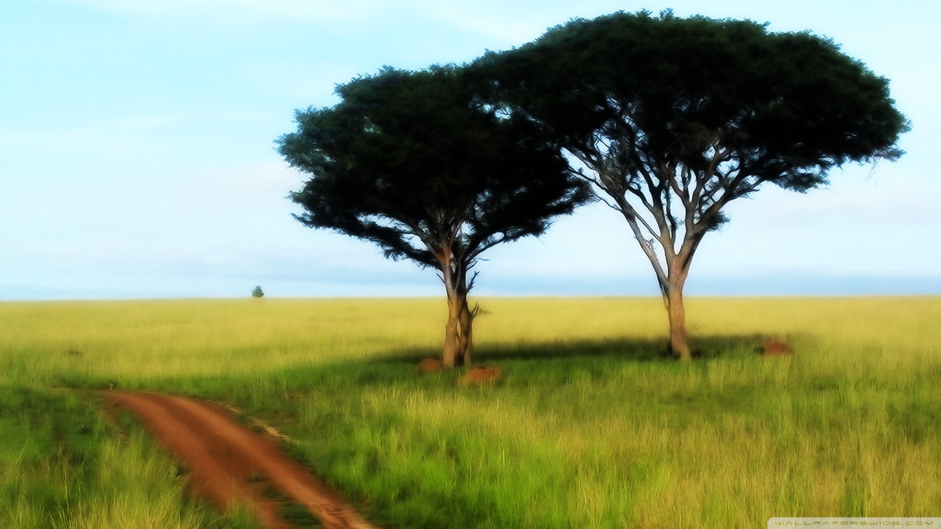 自然,风景,树,唯美,意境,孤单,来生要做一棵树