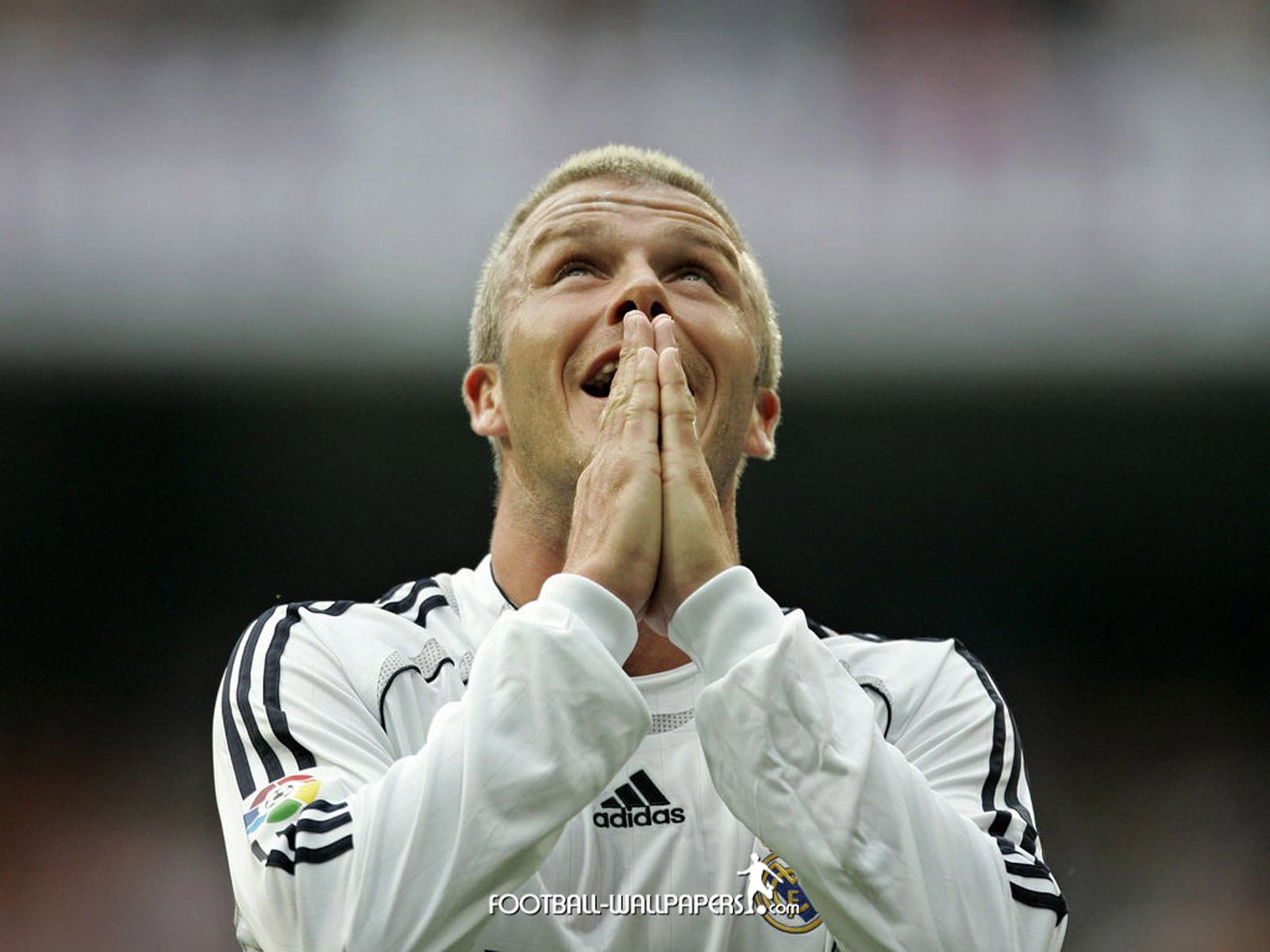 明星,帅哥,男,贝克汉姆,足球