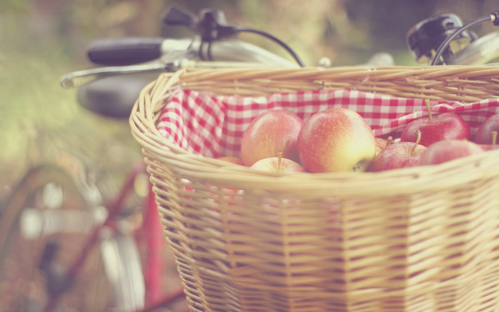 小清新,唯美,温馨,温暖,阳光,治愈系,安静,生活,慢生活,清新淡雅,温馨一刻,田园,自行车,单车