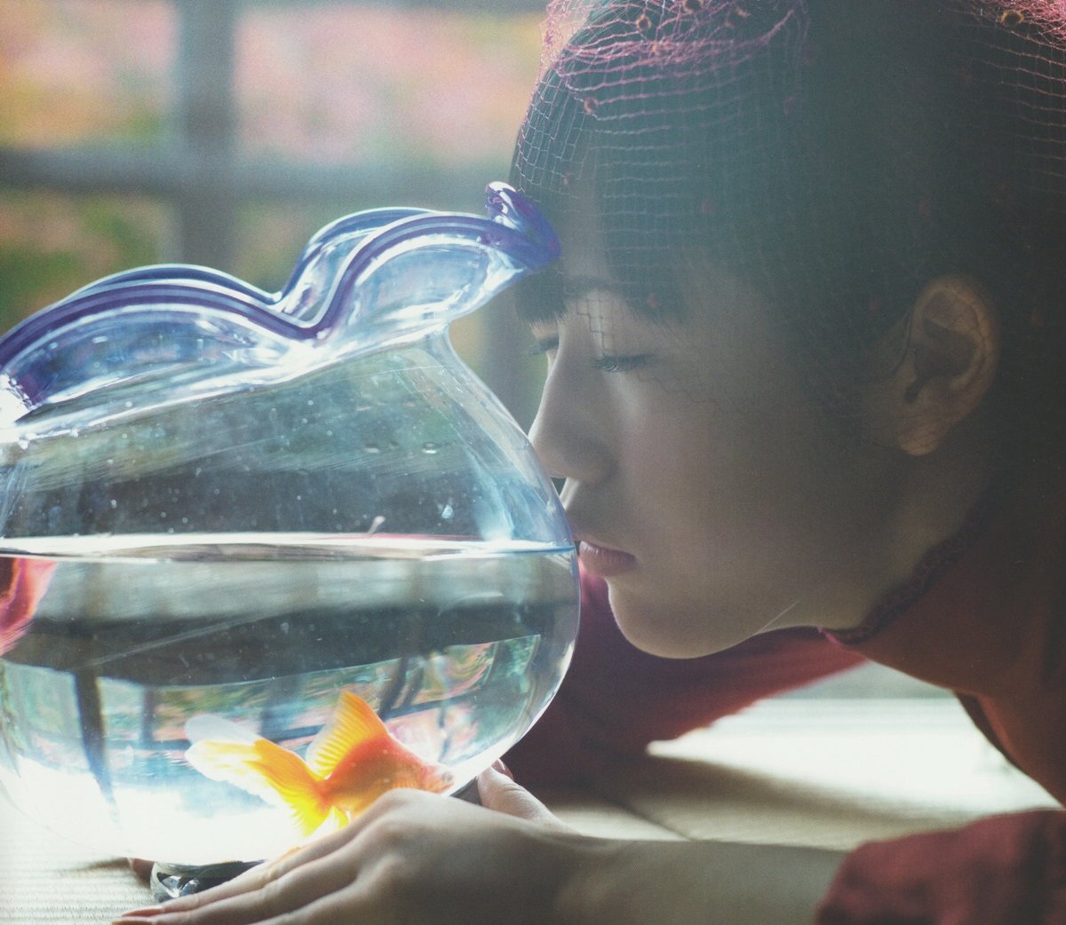 动物,金鱼,7秒的记忆,可爱,唯美,意境,游,安静,水下