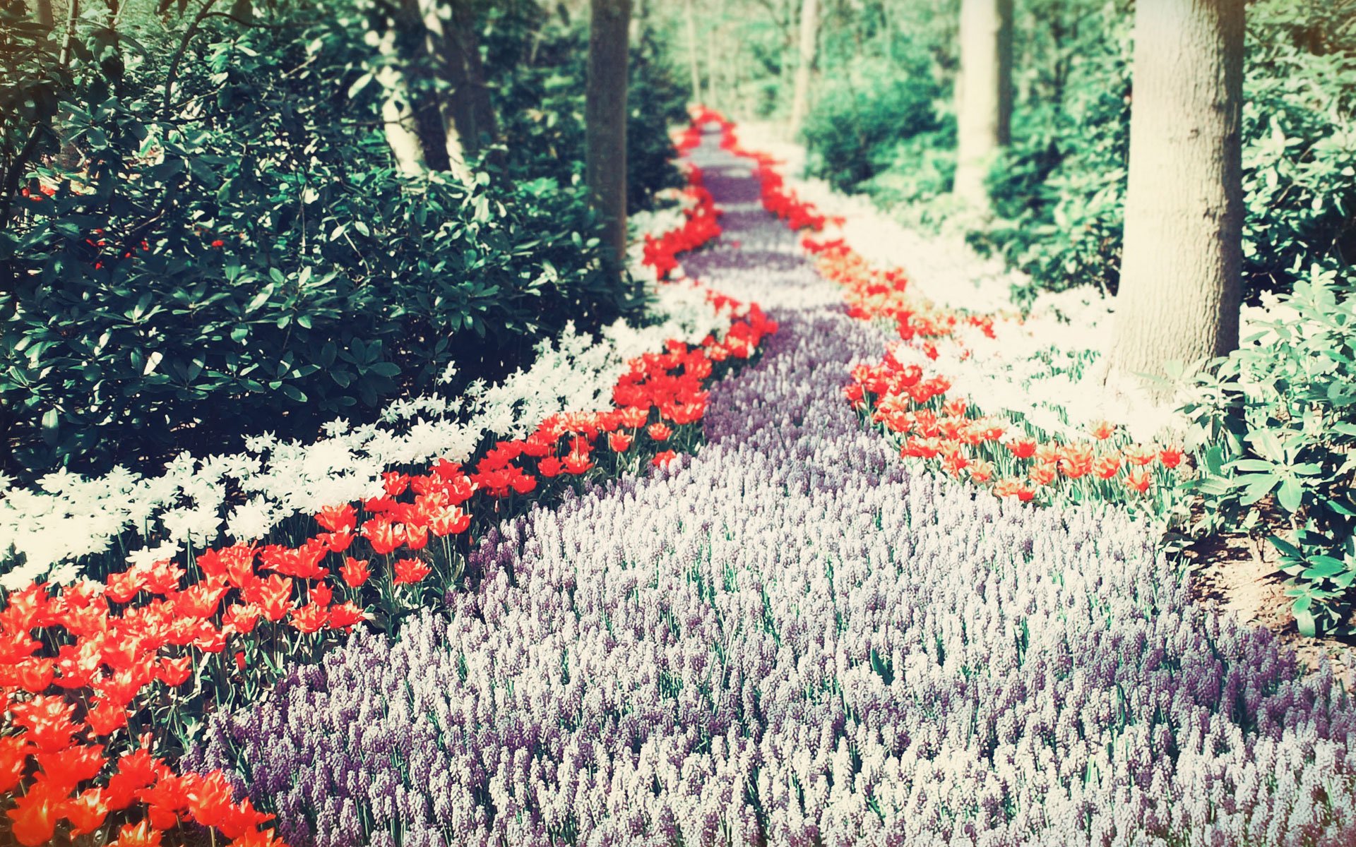 自然,风光,风景,路,前方,方向,前进