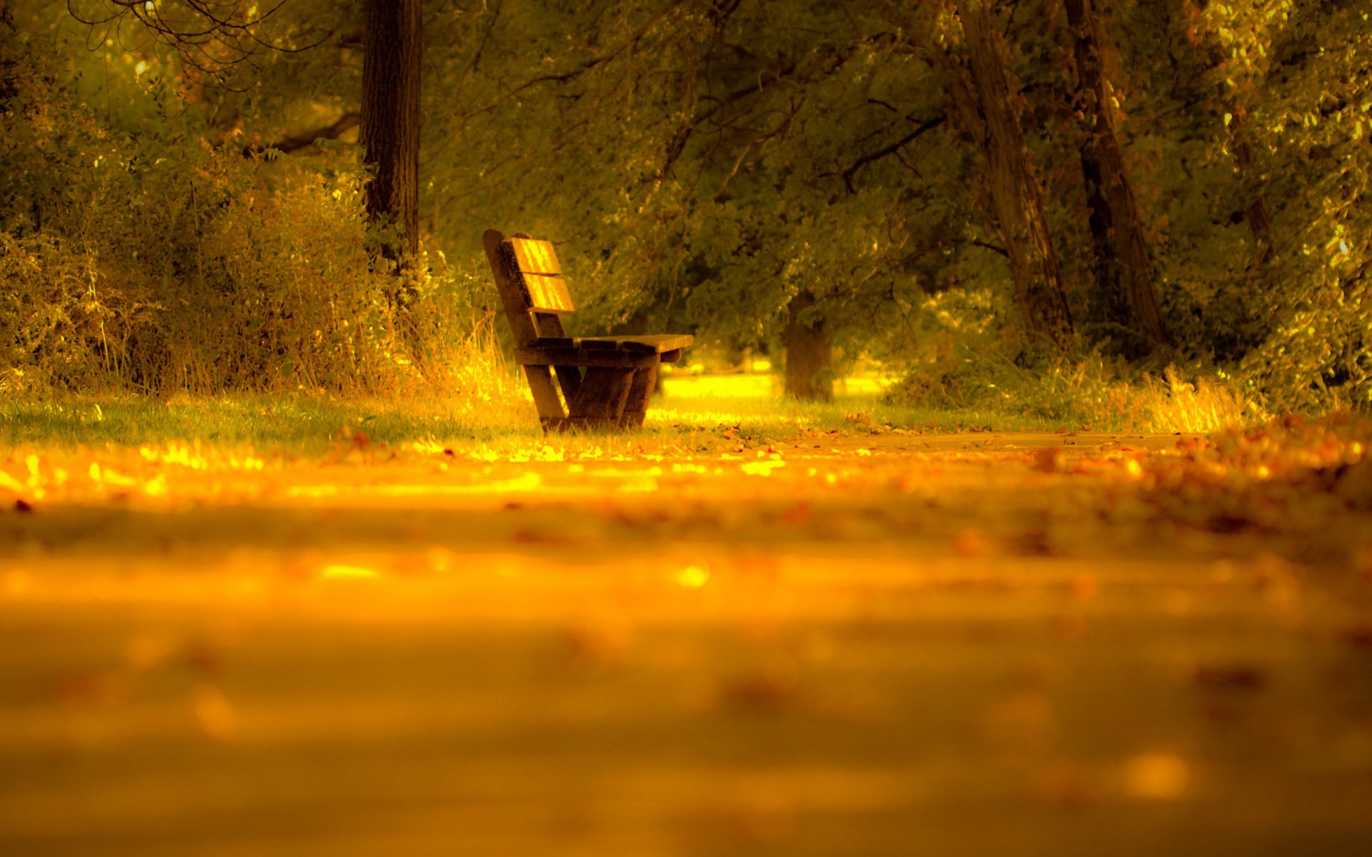 风景,自然风光,唯美,意境,在季节的转角处,秋意正浓,秋天,黄昏,落叶,树