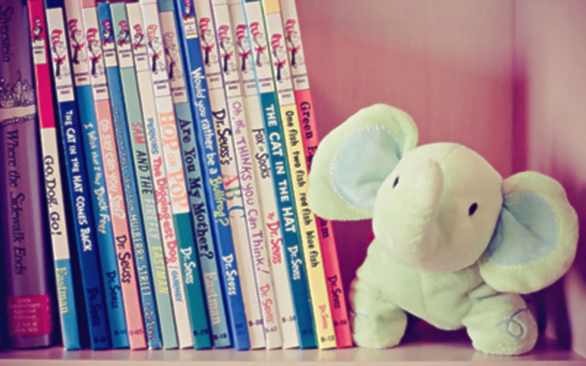 小清新,唯美,温馨,温暖,阳光,治愈系,安静,生活,慢生活,清新淡雅,温馨一刻,静物写真,小象